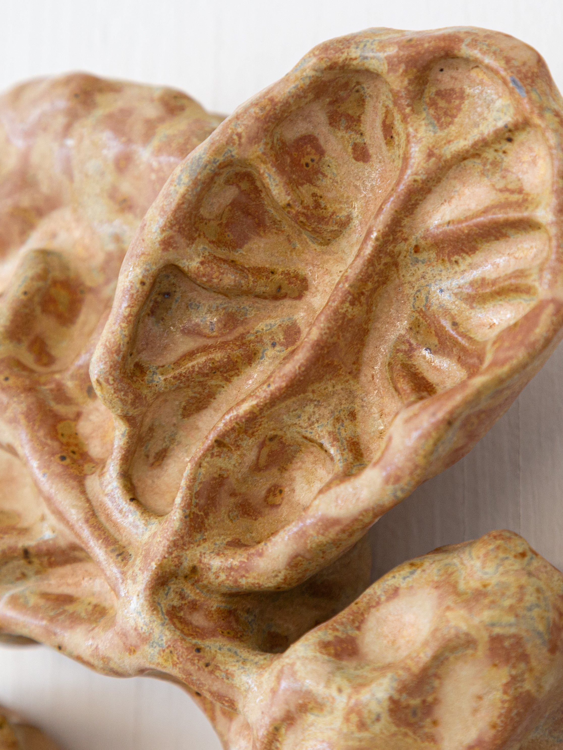 Alveolar Branching, detail