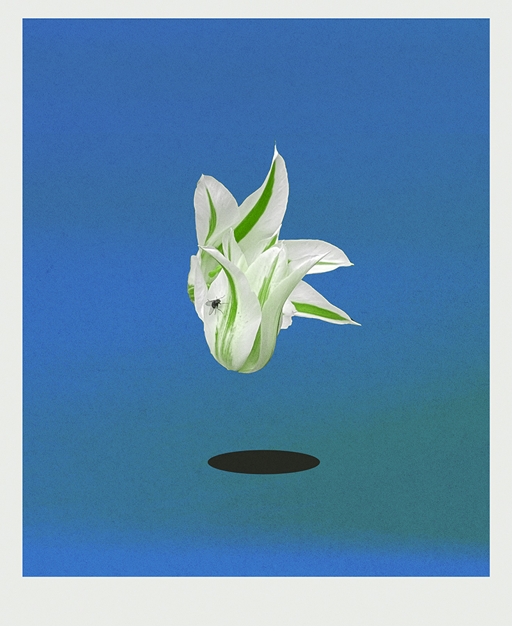 237. fly out of the abyss 29.04.25