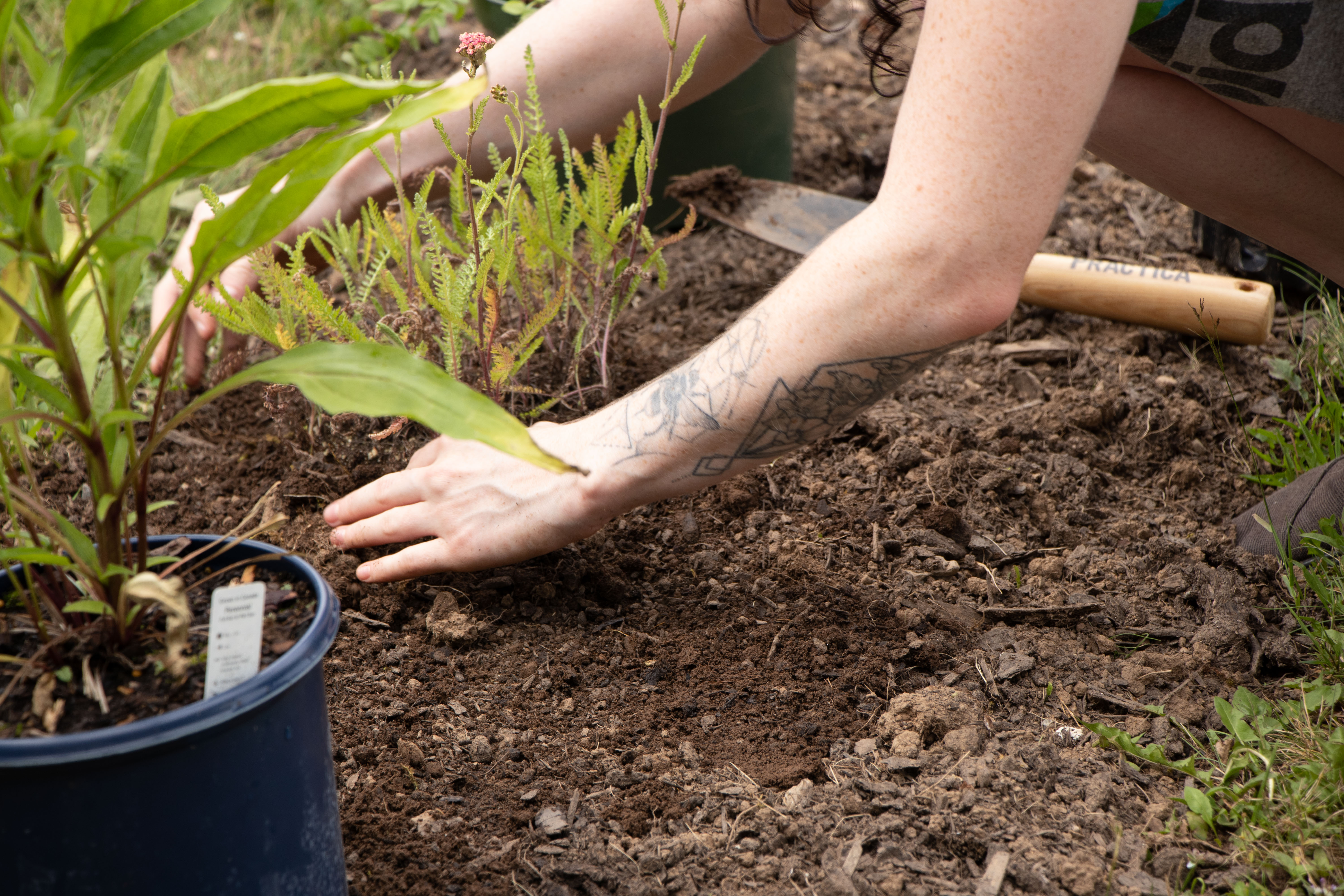 Mount Saint Vincent University Gallery staff and volunteers replanting Mike MacDonald's Butterfly Garden. Summer 2022. Photo: courtesy of MSVU Gallery 