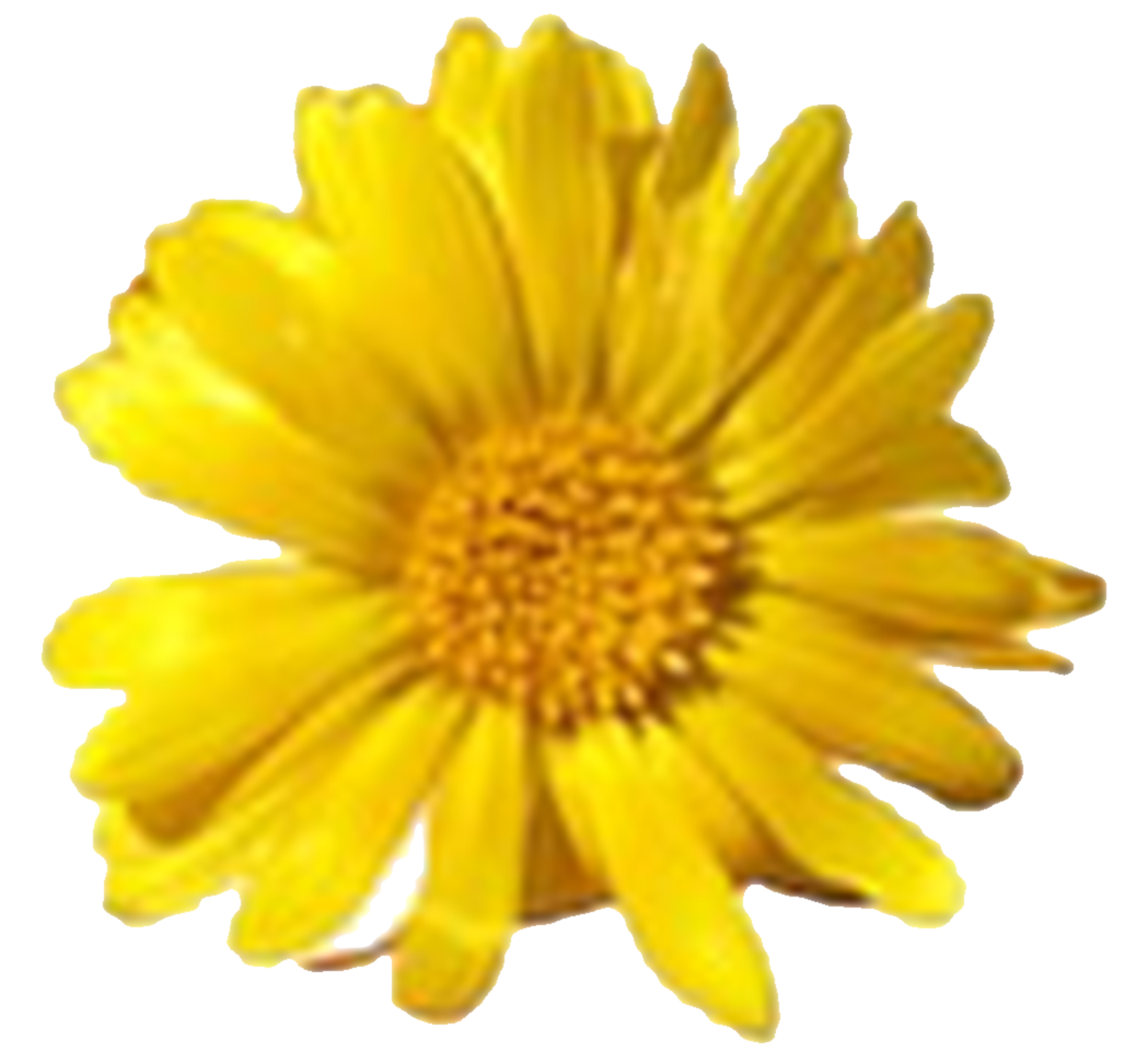 flower3.png