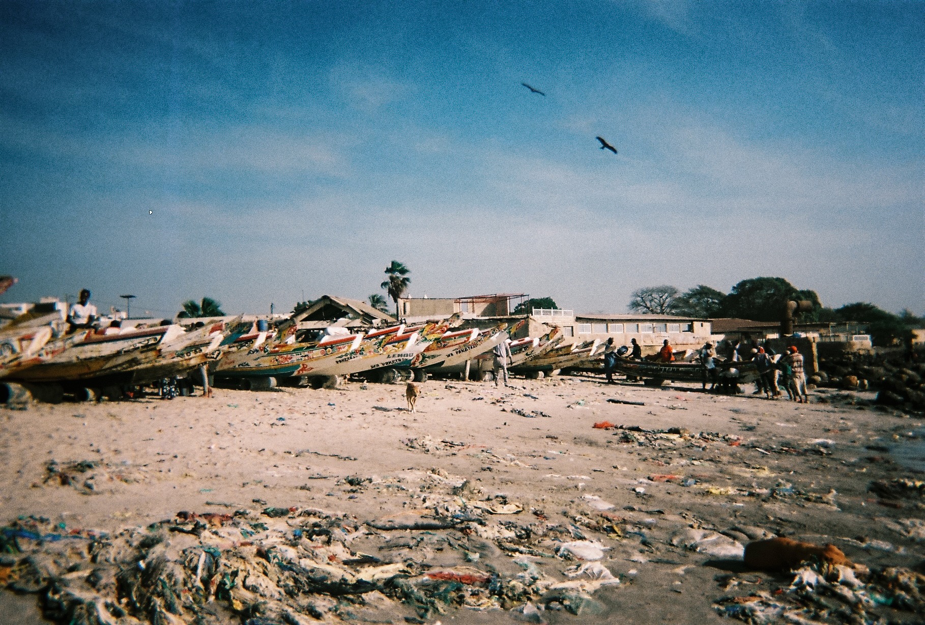 Soumbédioune fish market