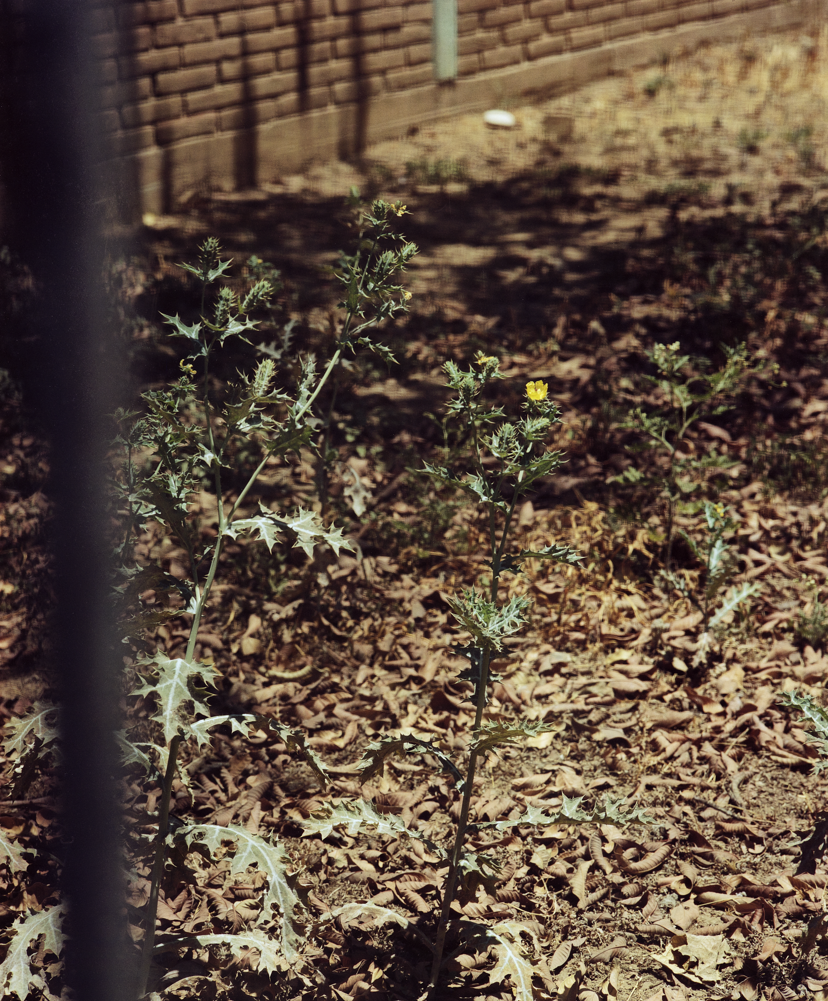 08/35, Untitled 2022