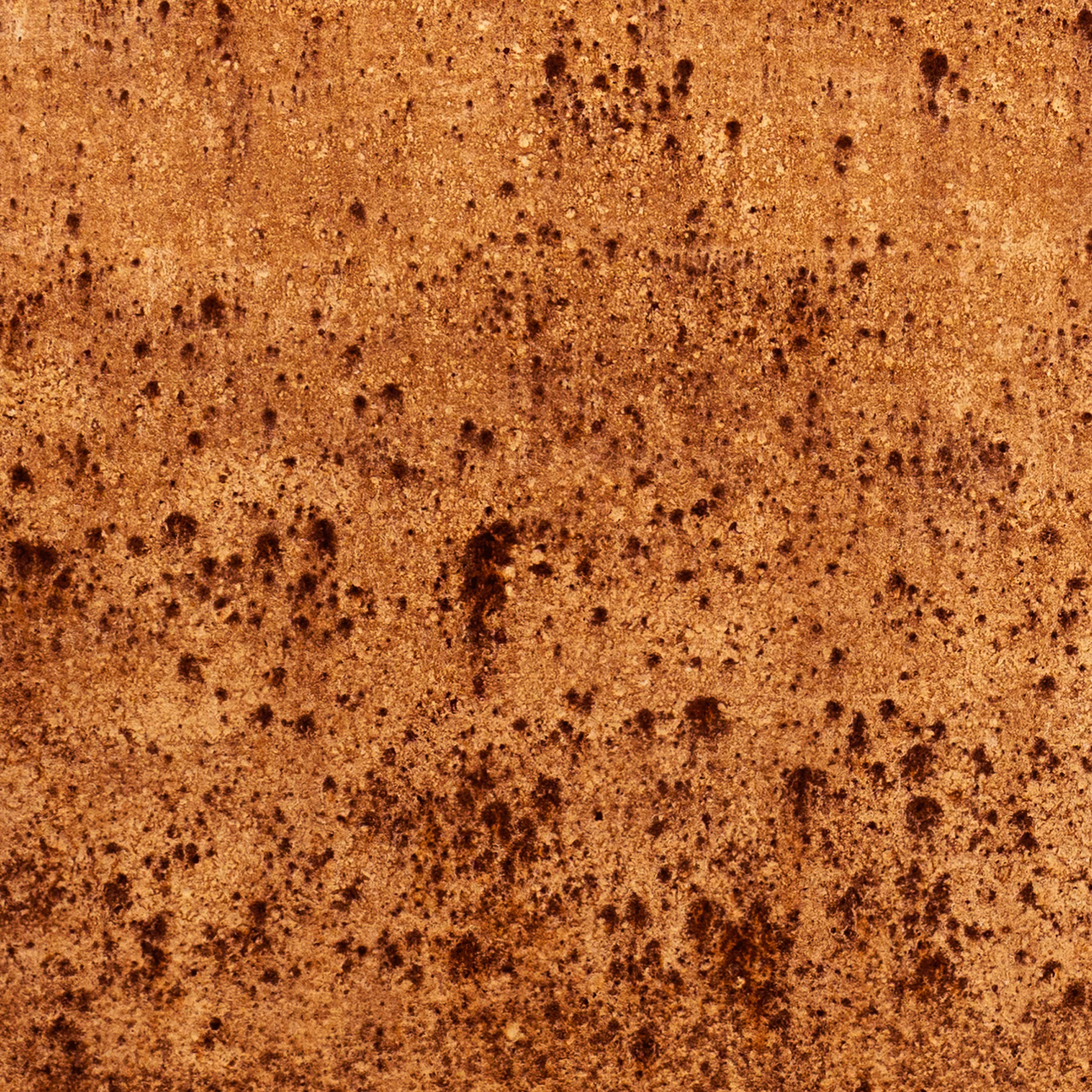 (Detail)