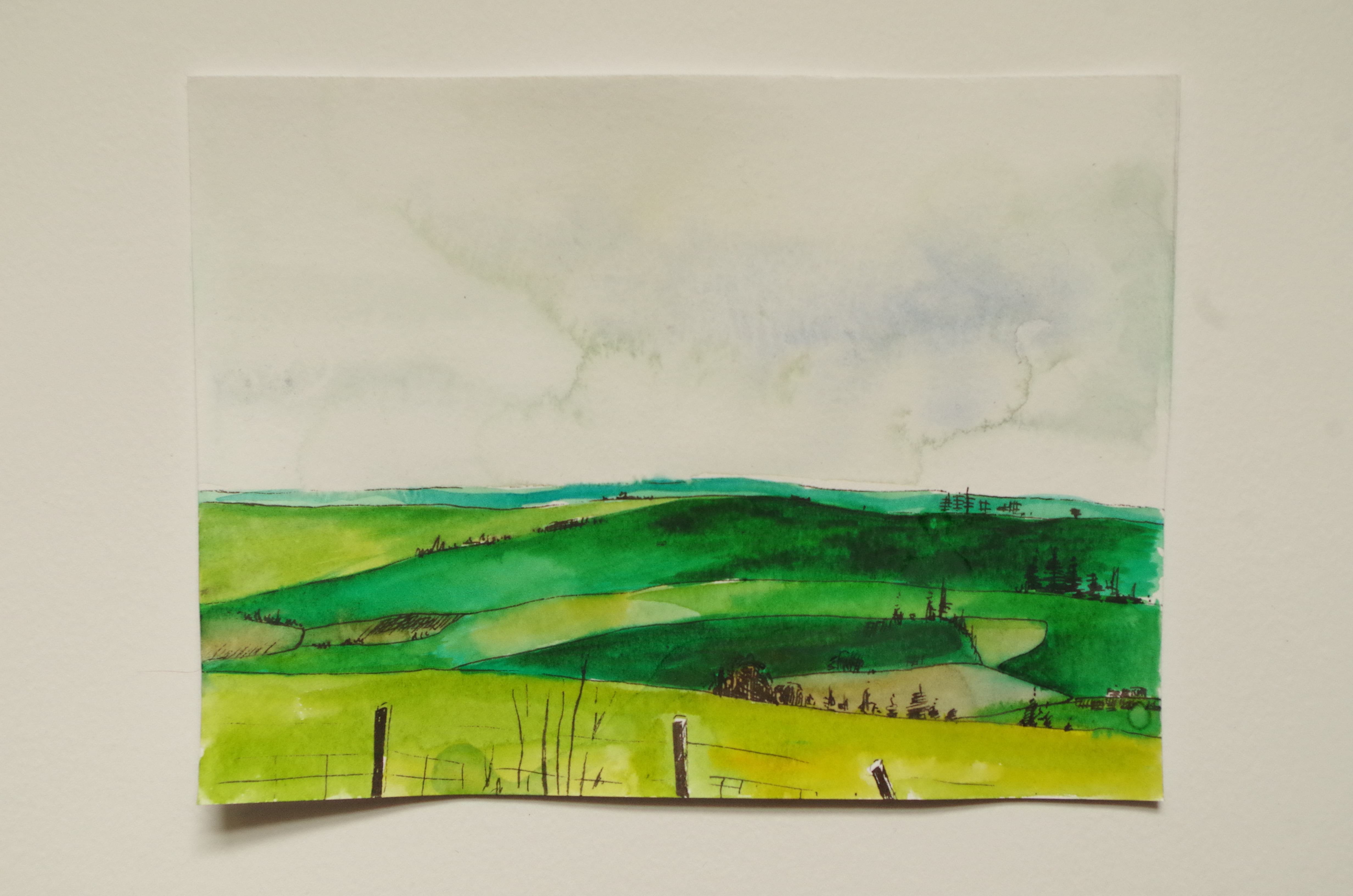Fields of green - Watercolour and pen