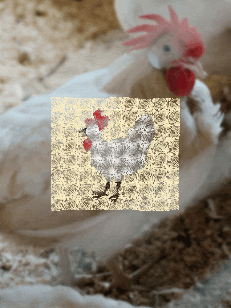 漫汀食集麓湖的隐藏菜单