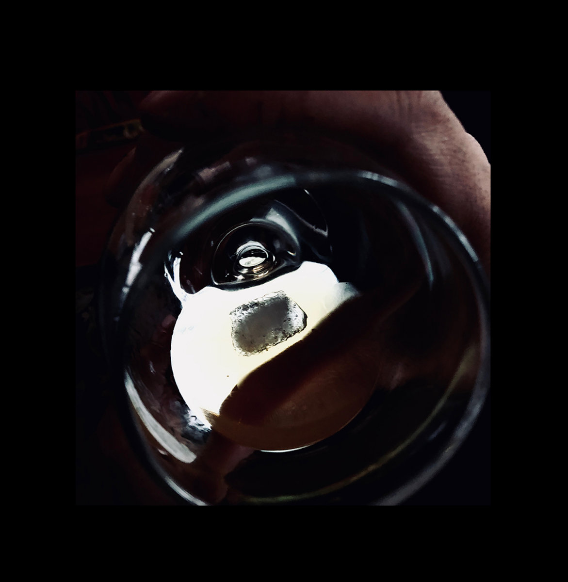 Forest Management  After Dark