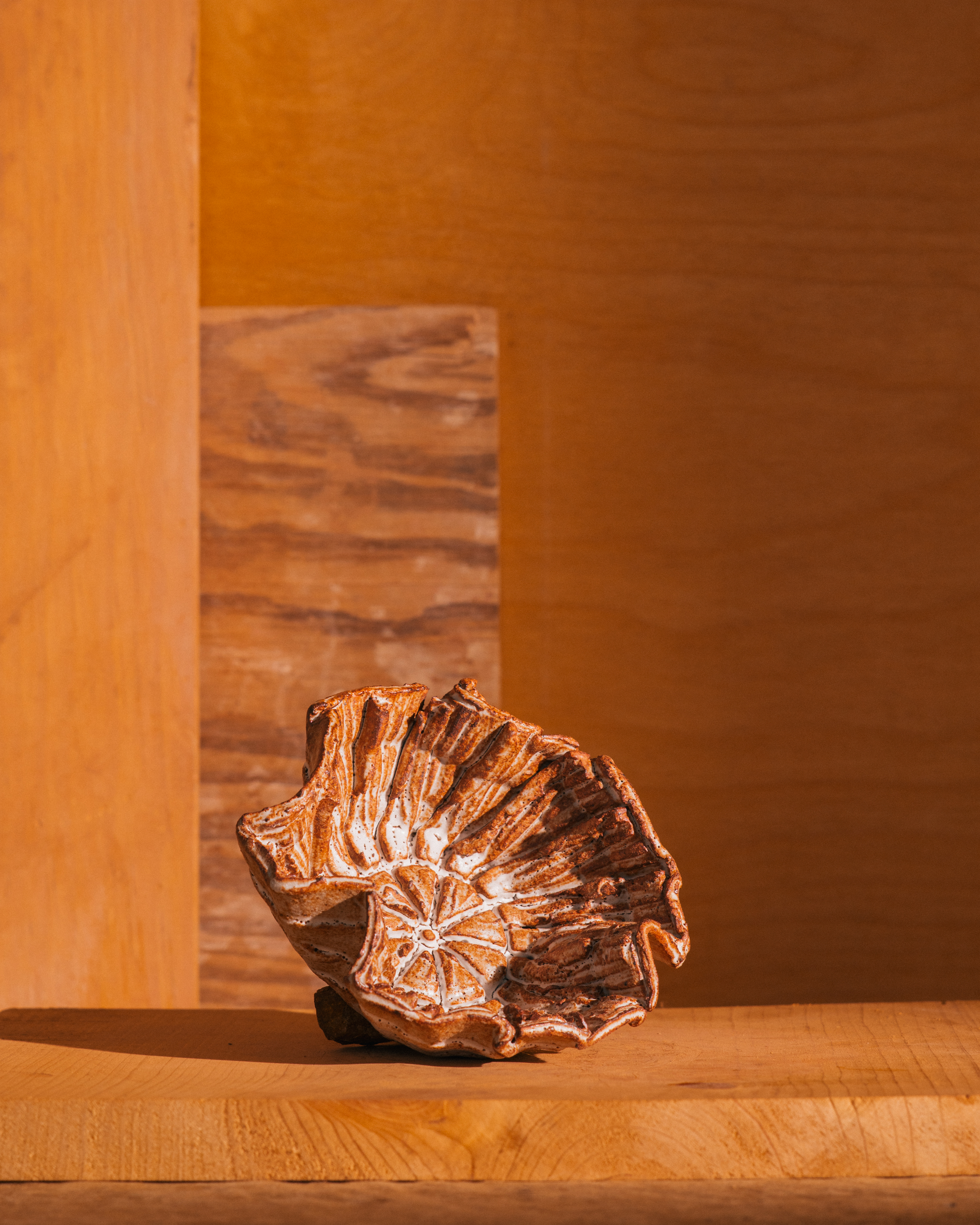 Anthro Bowl #3 [2023]