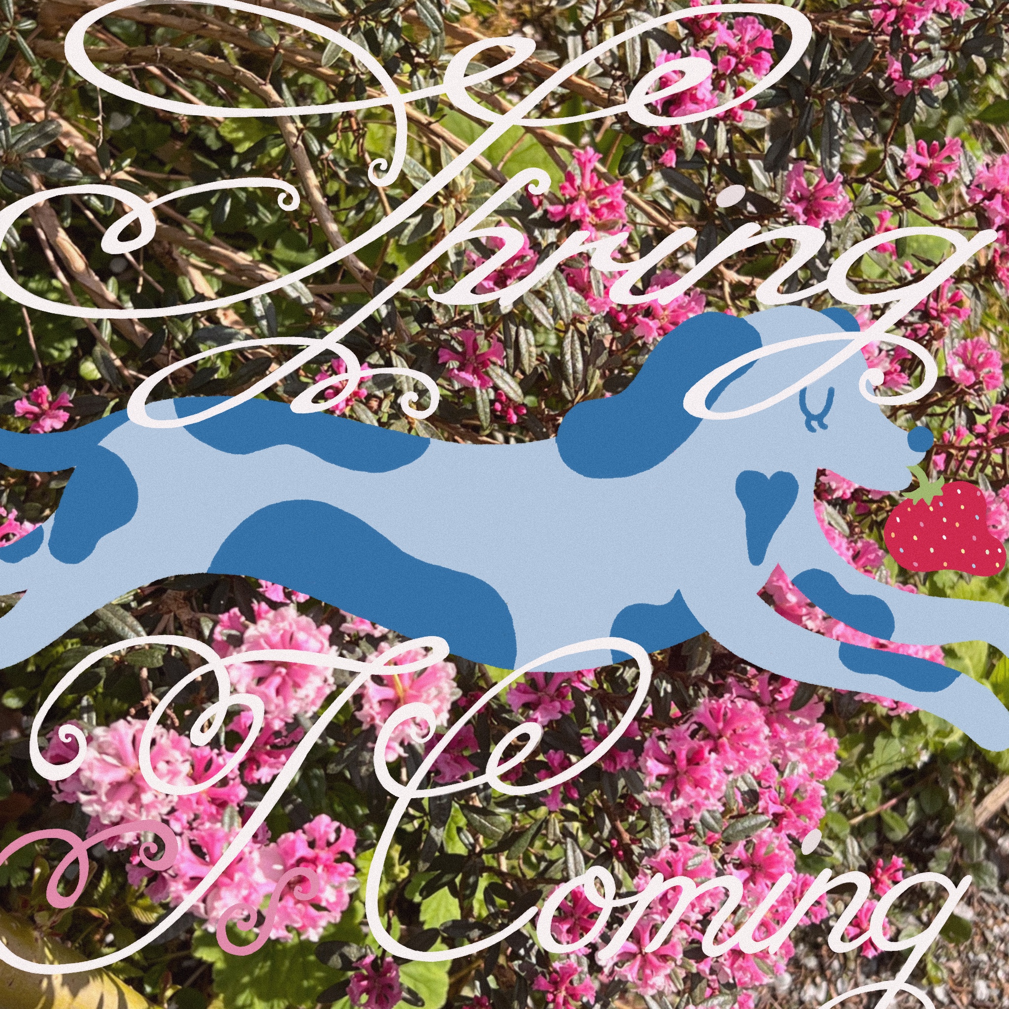 spring is coming 2025