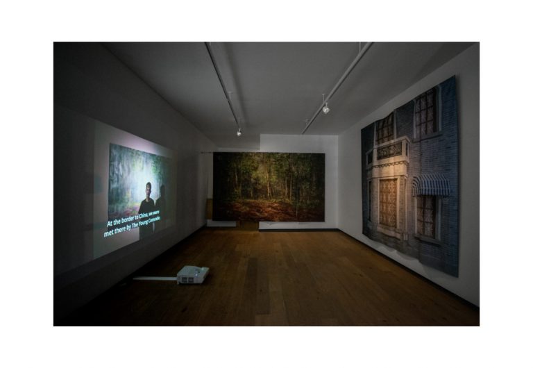 A photo of the gallery exhibition. The film "The Young Comrade" is projected on the left wall. A painting of a forest is hung on the back wall. A printed photograph of a building facade juts out from the right wall as a 3D wall installation.