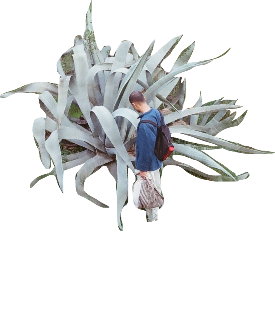 I contain multitudes