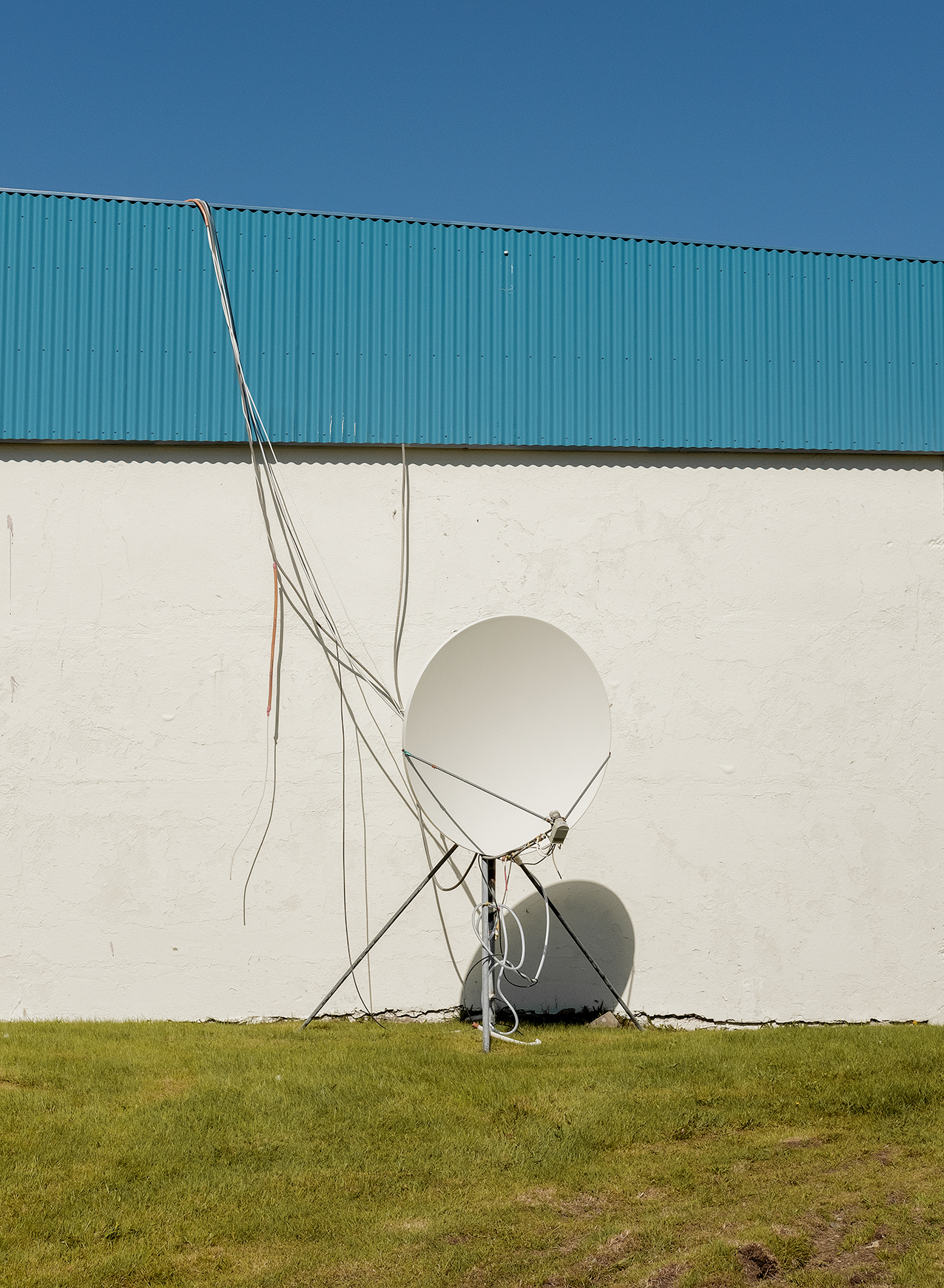 Domingo Nardulli TIFF