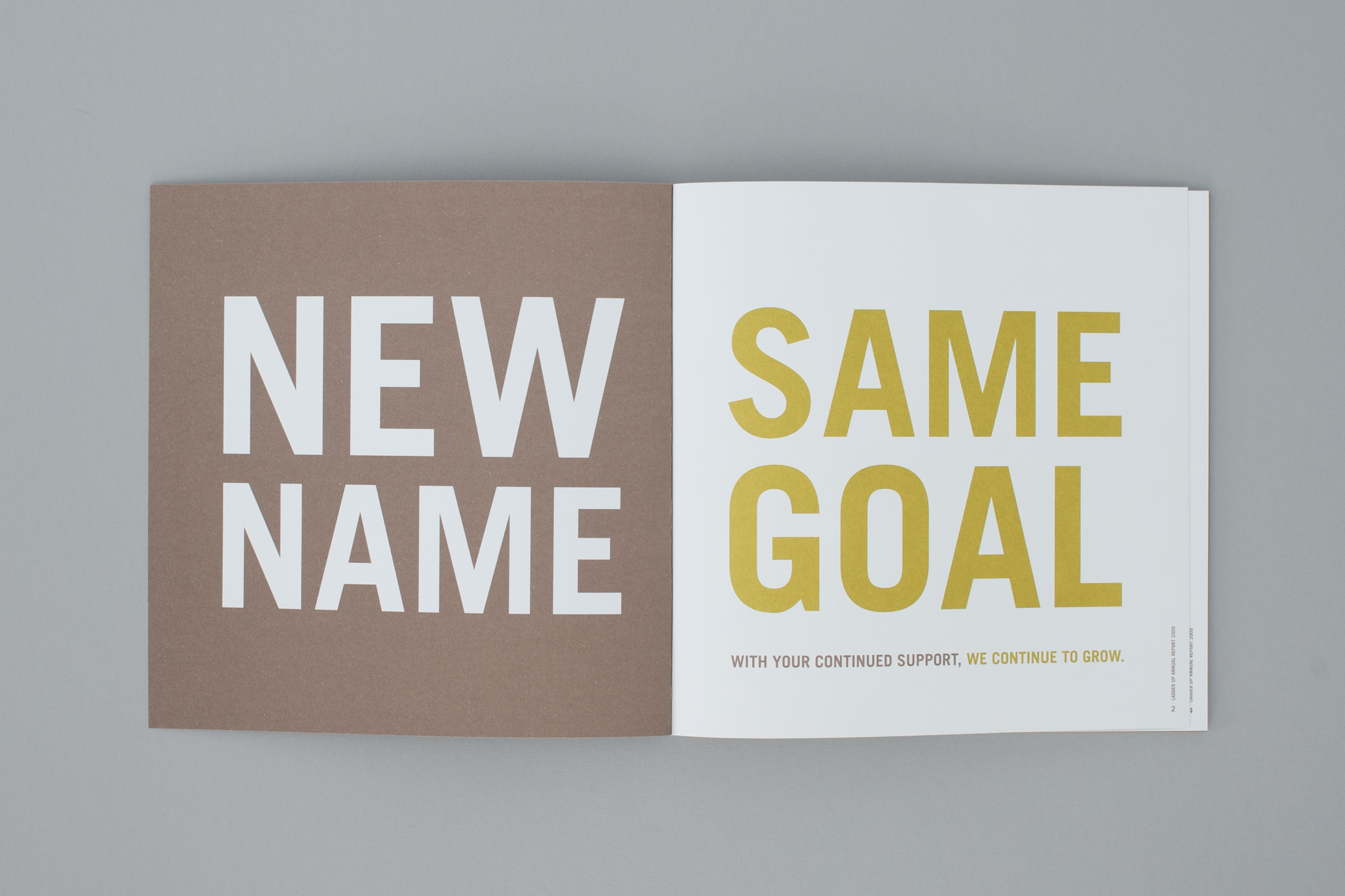 The McQuades, McQuade Inc, Design, Branding, Nonprofit, foundation, Ladder Up, Annual Report, Financial, Chicago, Richmond, Virginia