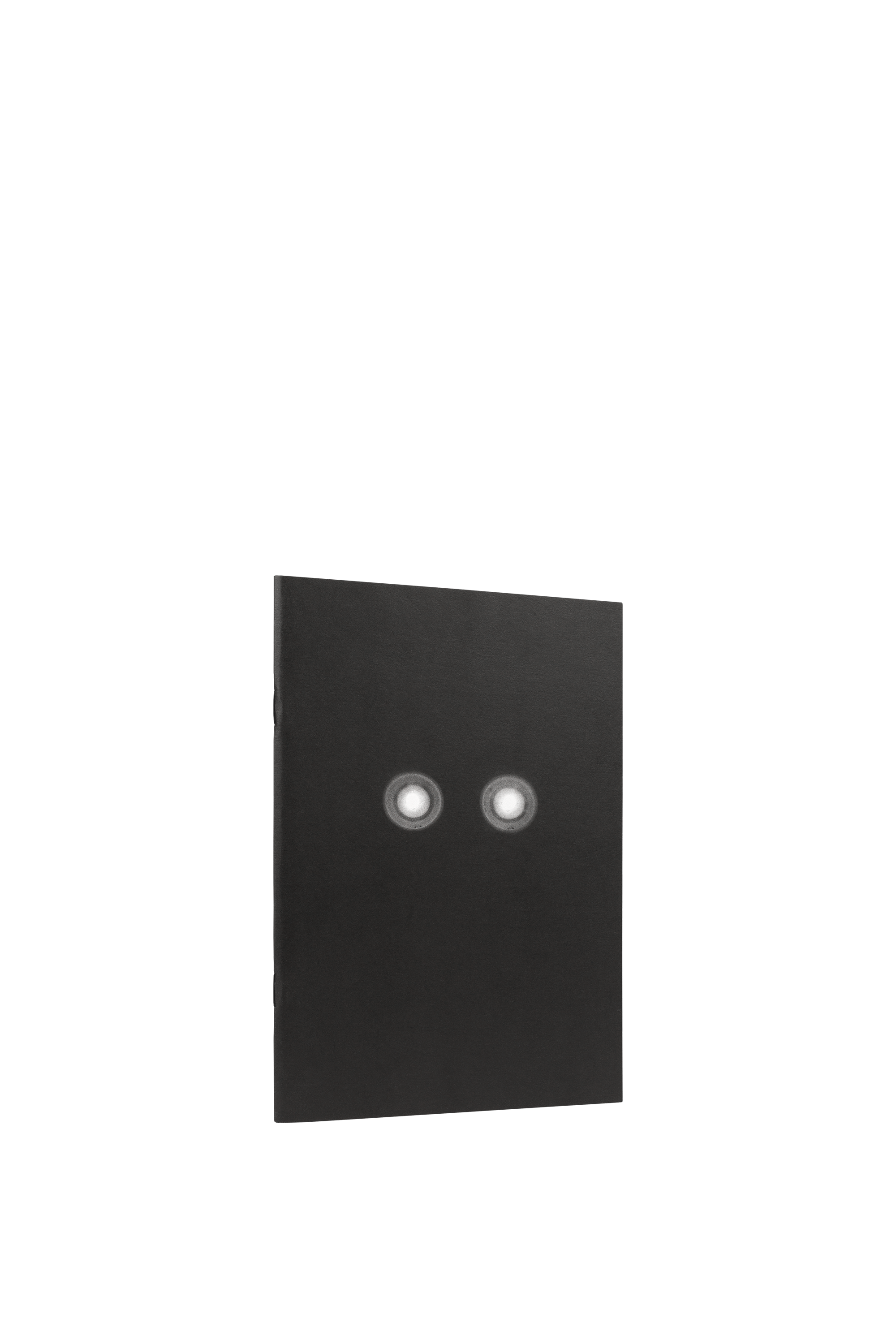 A Companion To The Castle