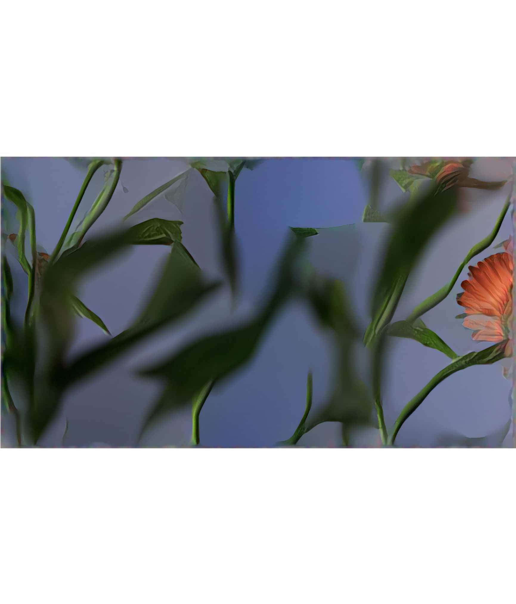 Neural algorithm Output layers. Anton Bundenko, 2020. New Nature series. Data, neural algorithms, digital (sketch / material for artwork).