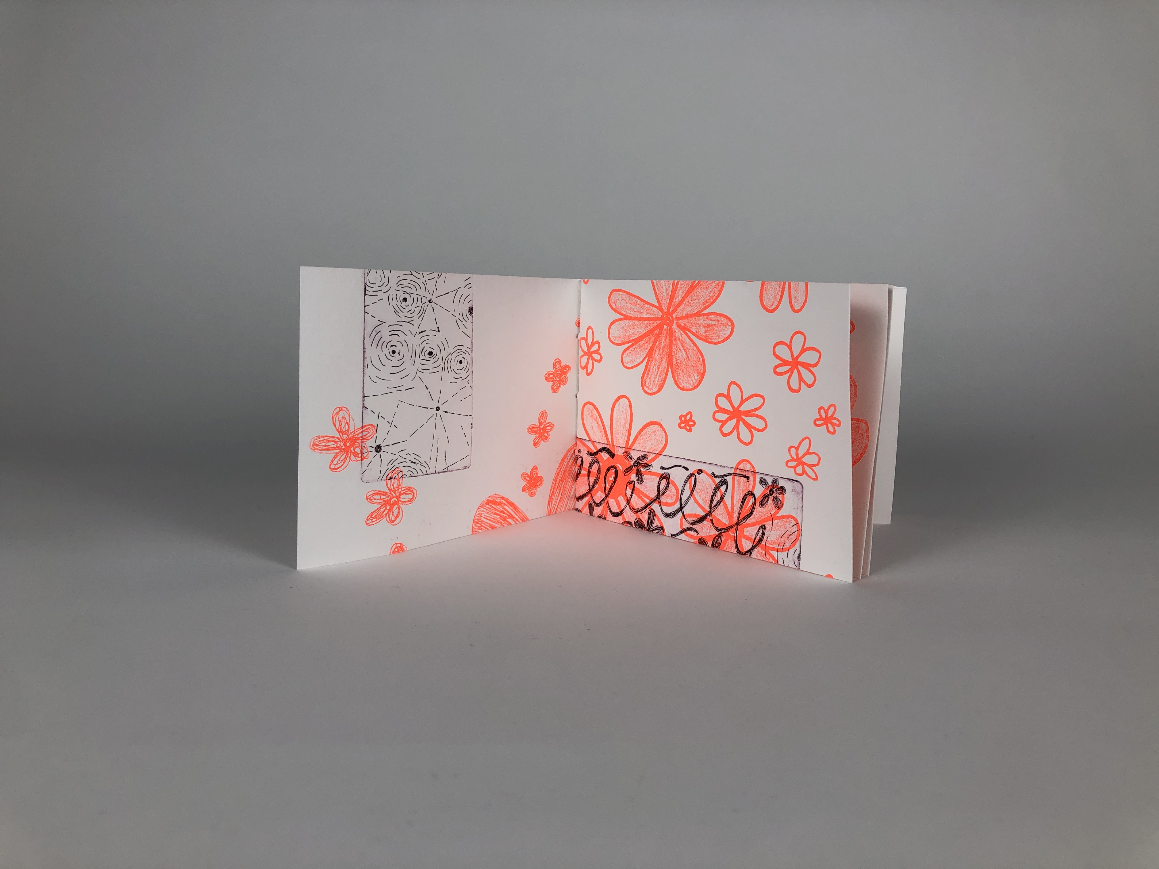 On a WhimPamphlet Bound, Risograph and copperplate etching, 2023