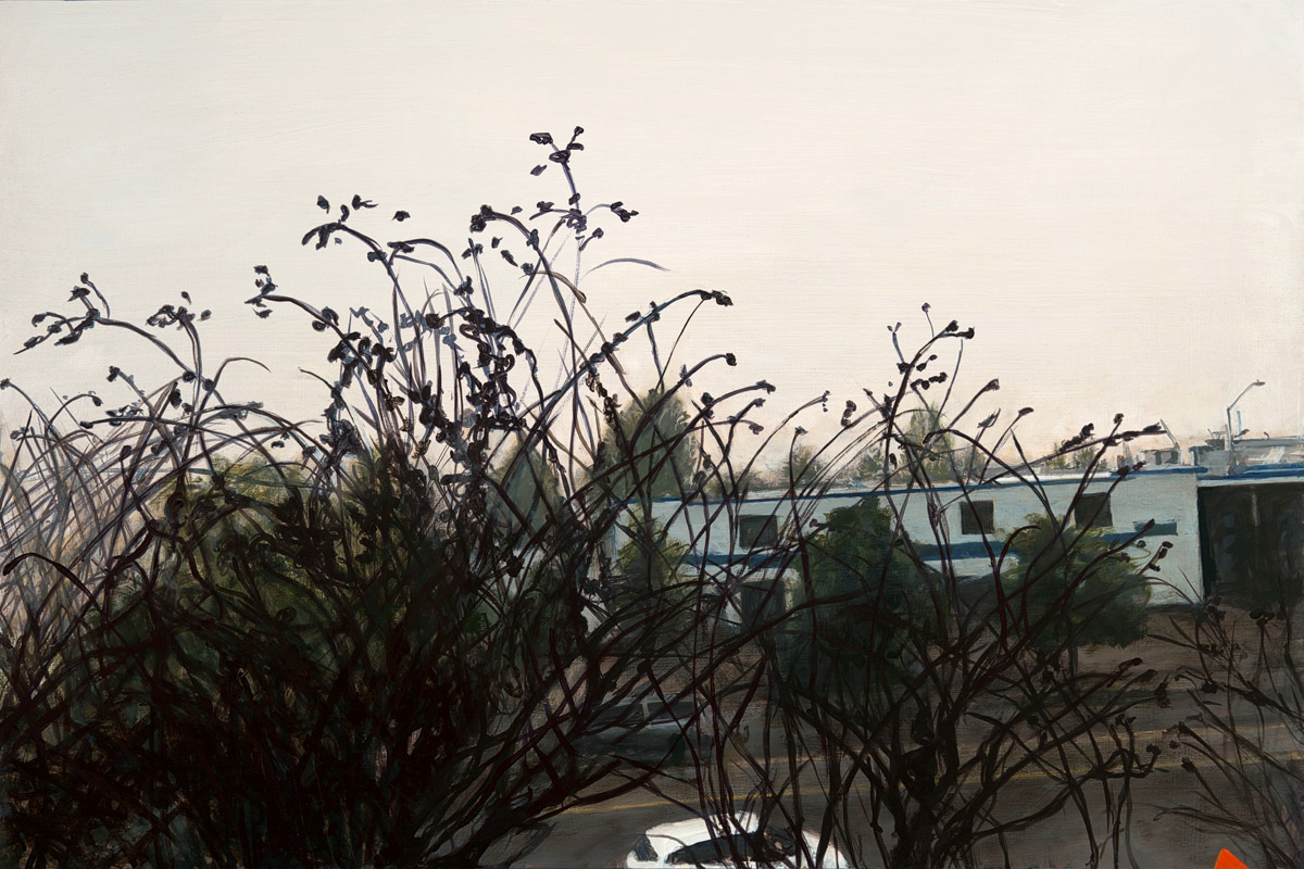 Magai, Brambles, 2022, Oil on panel, 24 x 36 in. (sold)