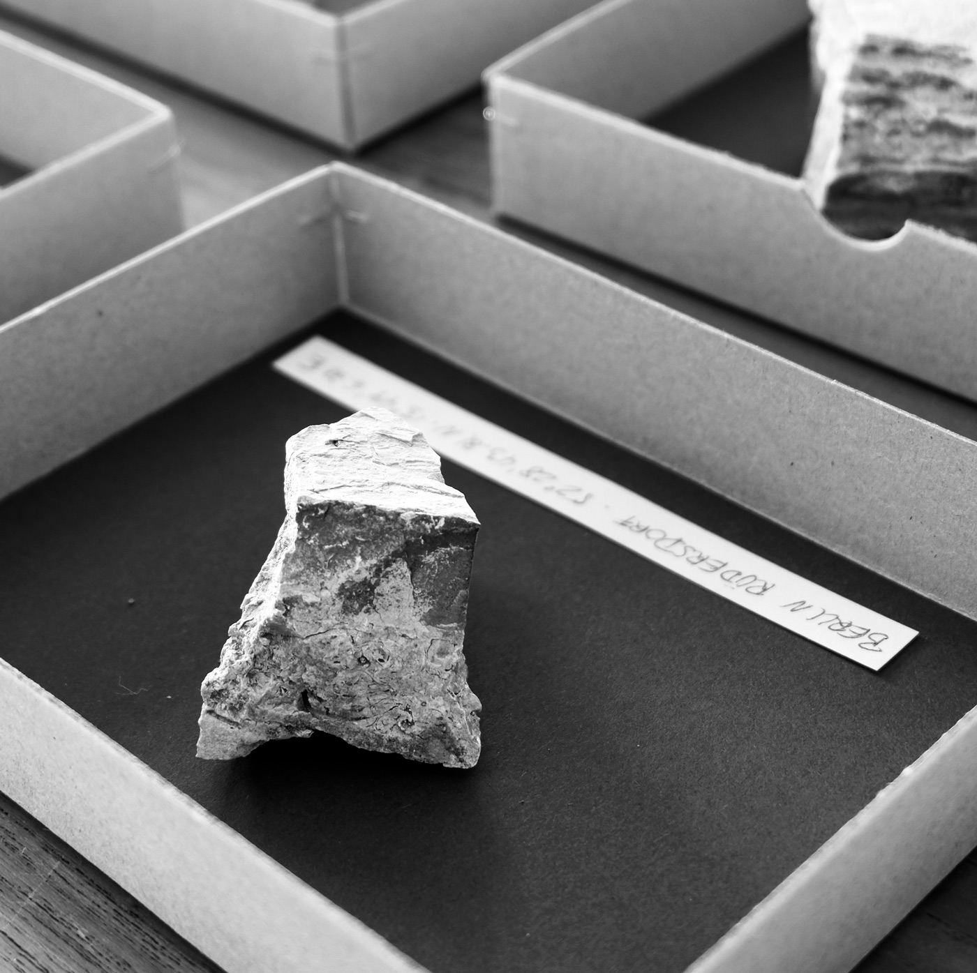 Specimen Berlin Ruedersdorf