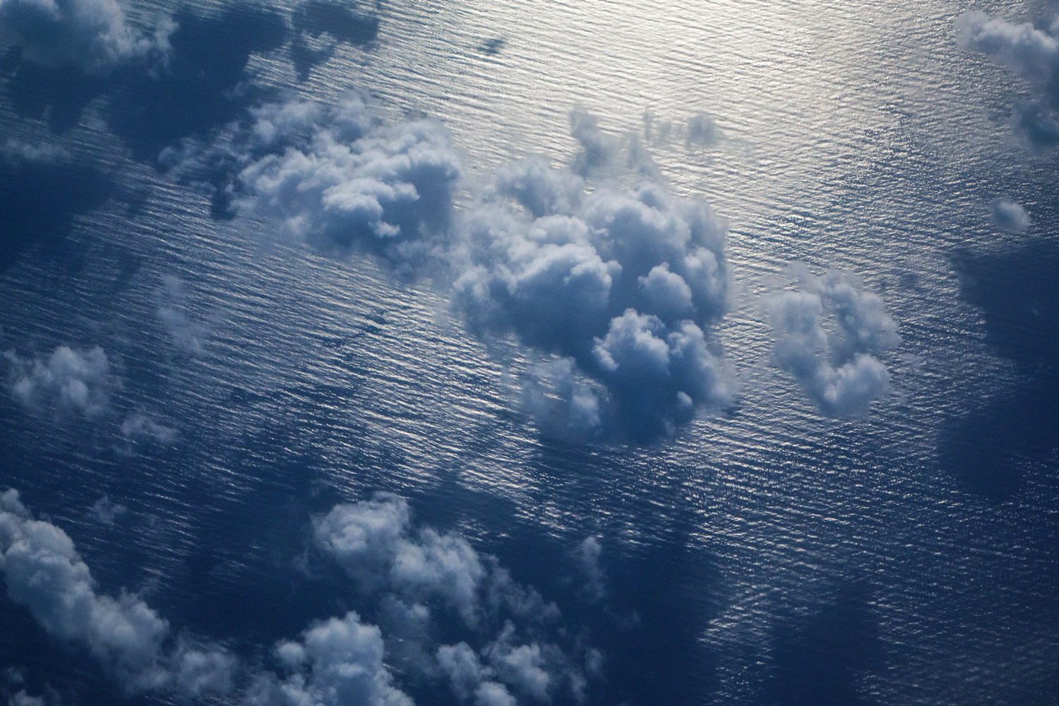 From the flight to New York