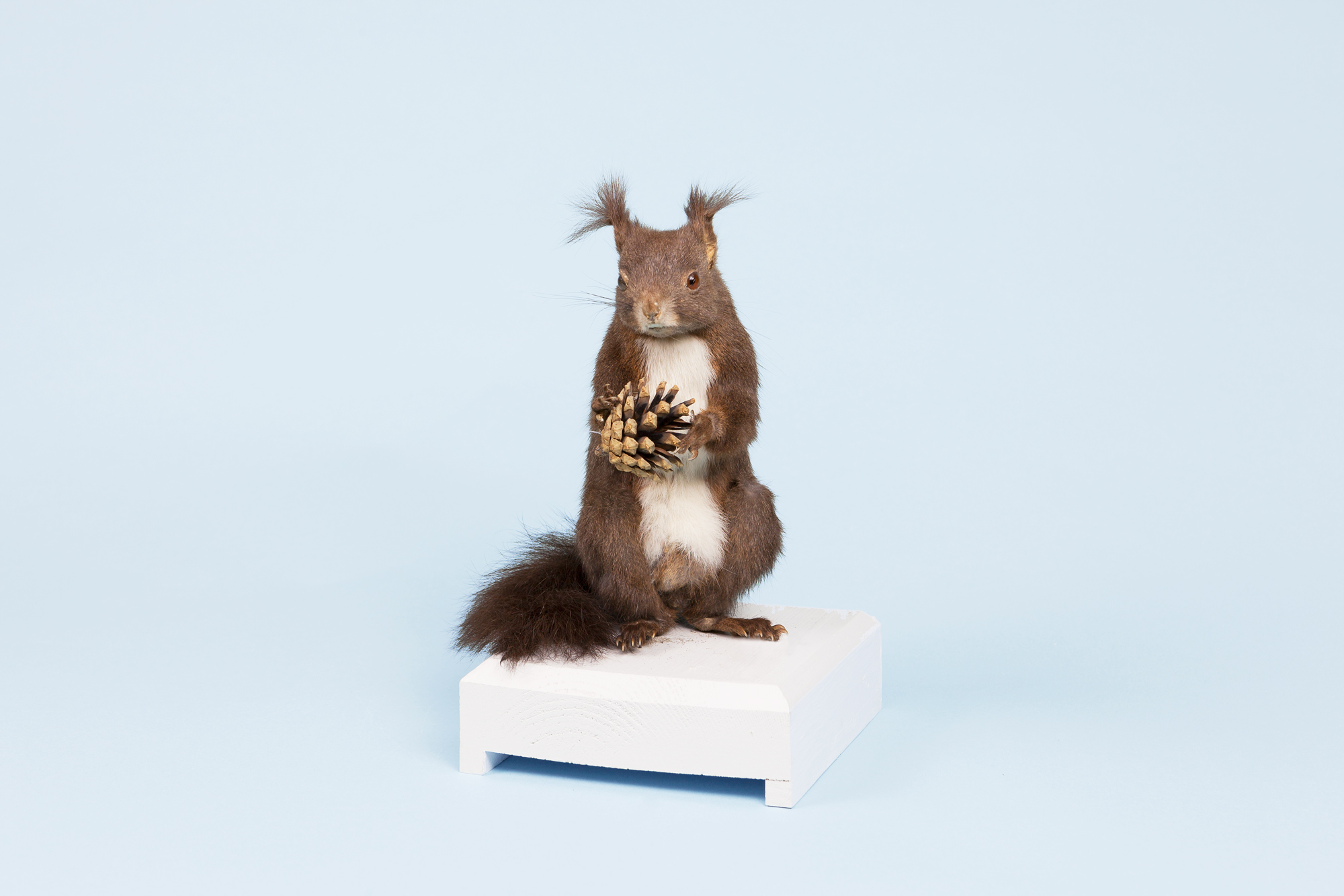 Paolo Riolzi, Tamed Wild Animals, Museo delle Scienze, Trento, 2018.