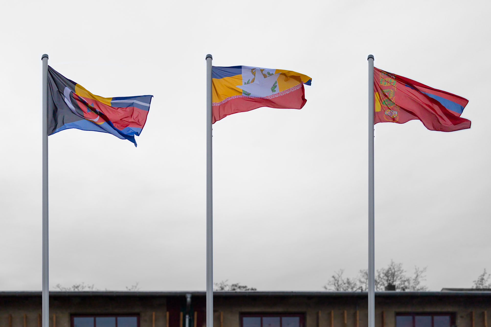World Flags 1/9&ndash;9/9, 2025, print on polyester, 120 &times; 180 cm, installation view GEH8 Dresden, 2025