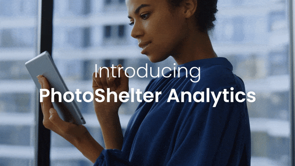 PhotoShelter Analytics