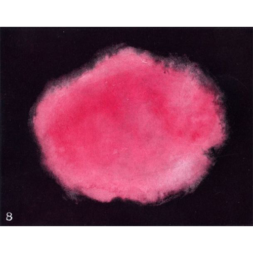Fig. 8
