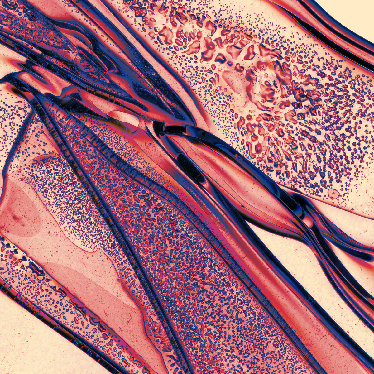 saajtakFor the Makers