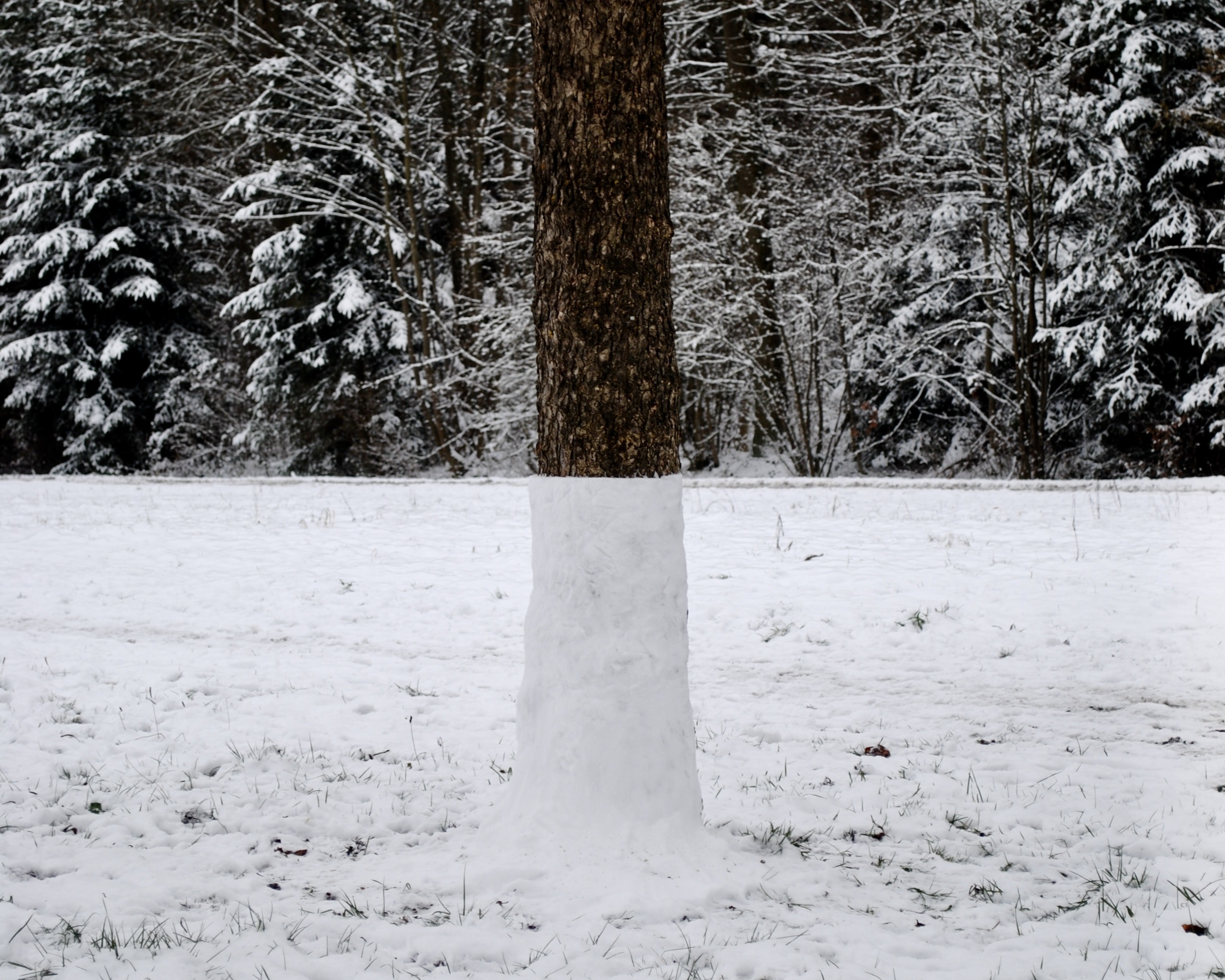 Tuning Group / Group Tuning [2023+]