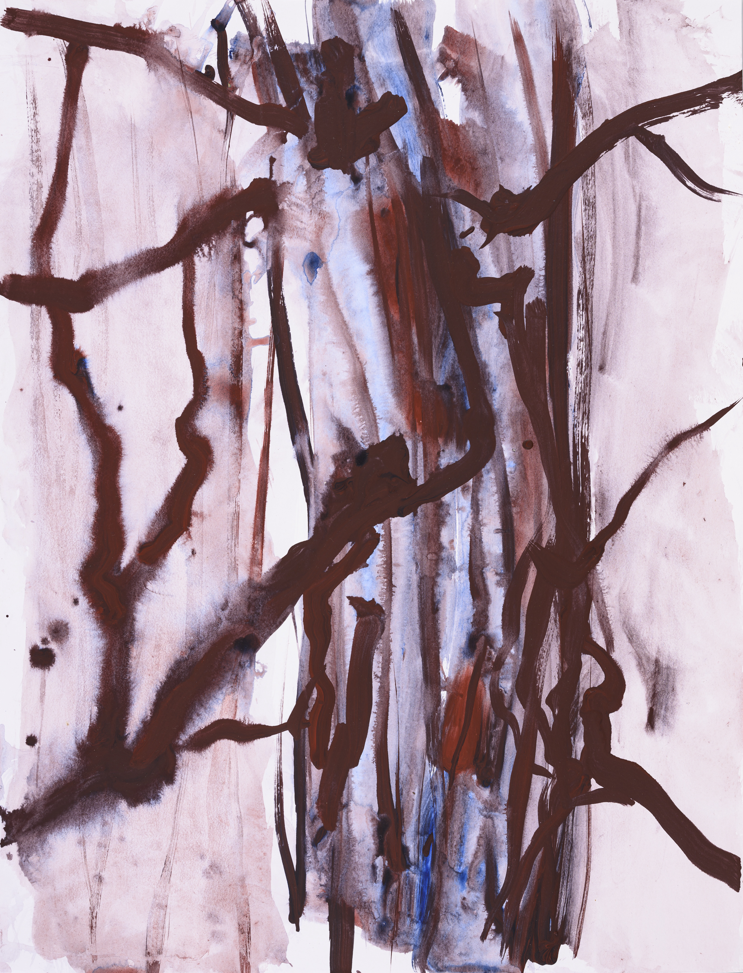 Study of nature 0003Acrylic on paper 65×50cm