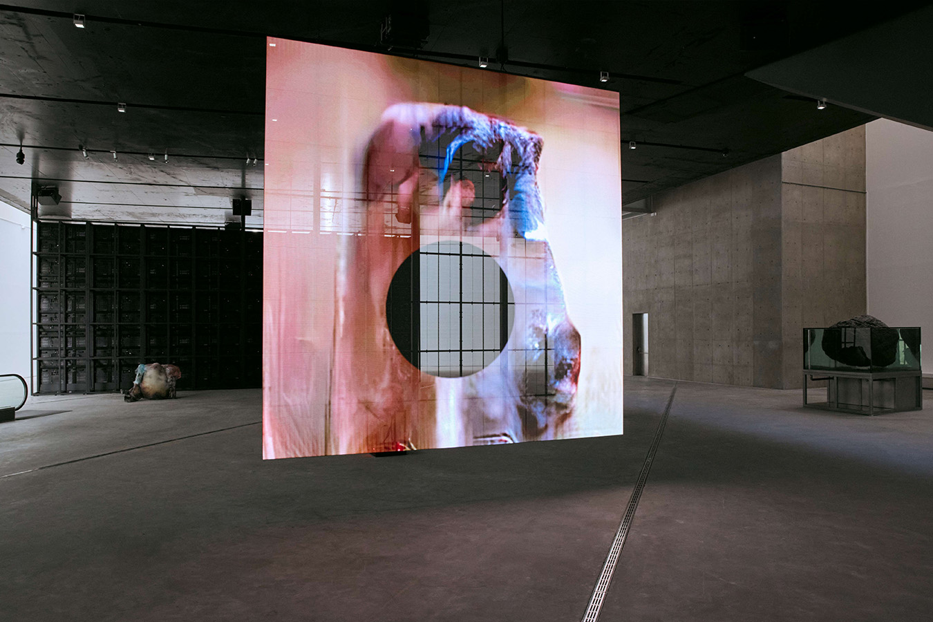 피에르 위그 [리미널(Liminal)]