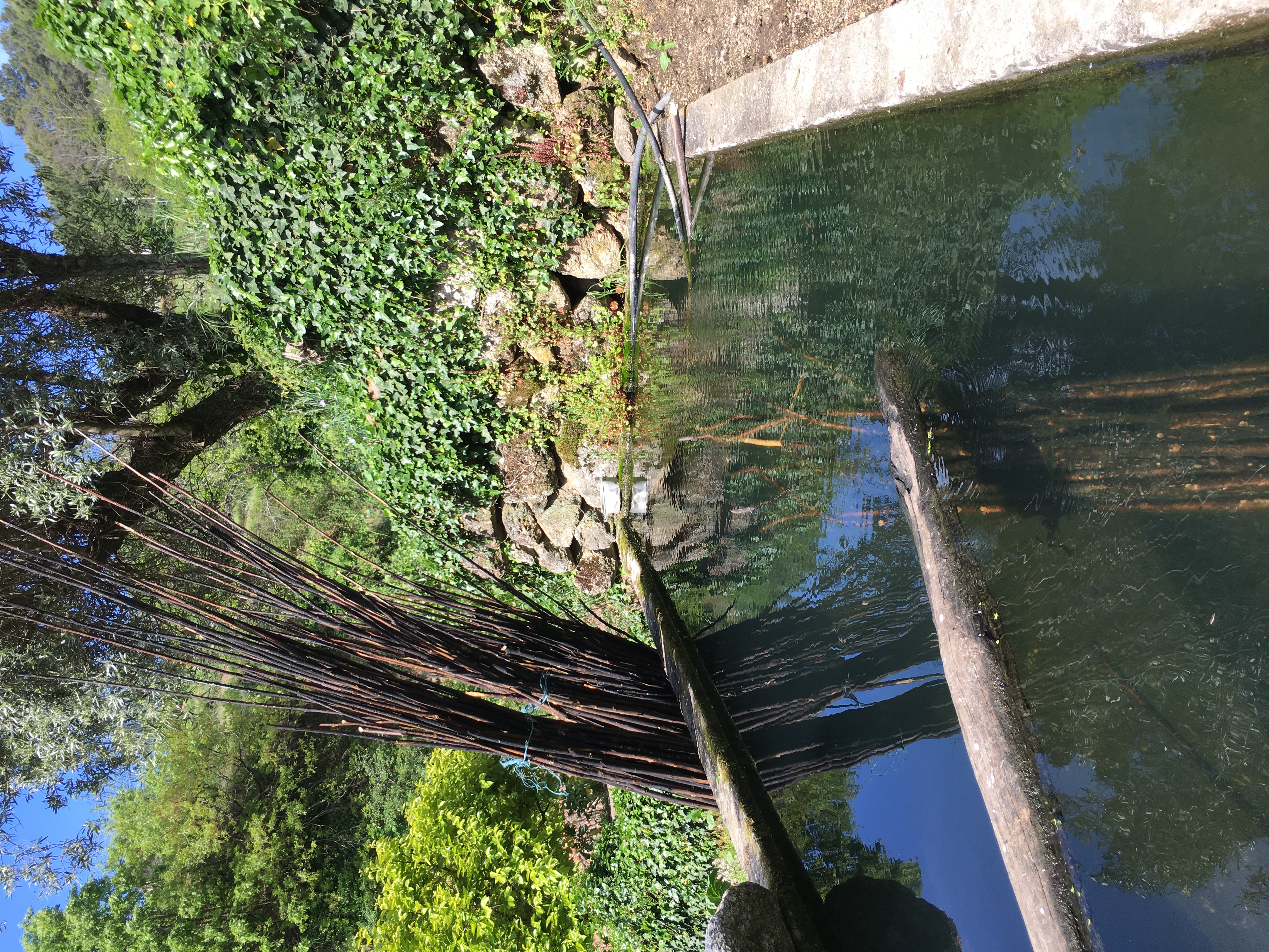 The Baskets - Process