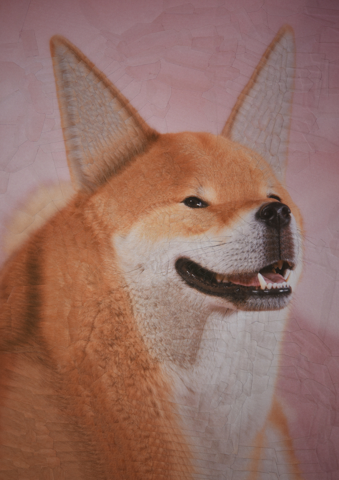 Tofu without teeth, 2021, 8.2 x 11.6 inches