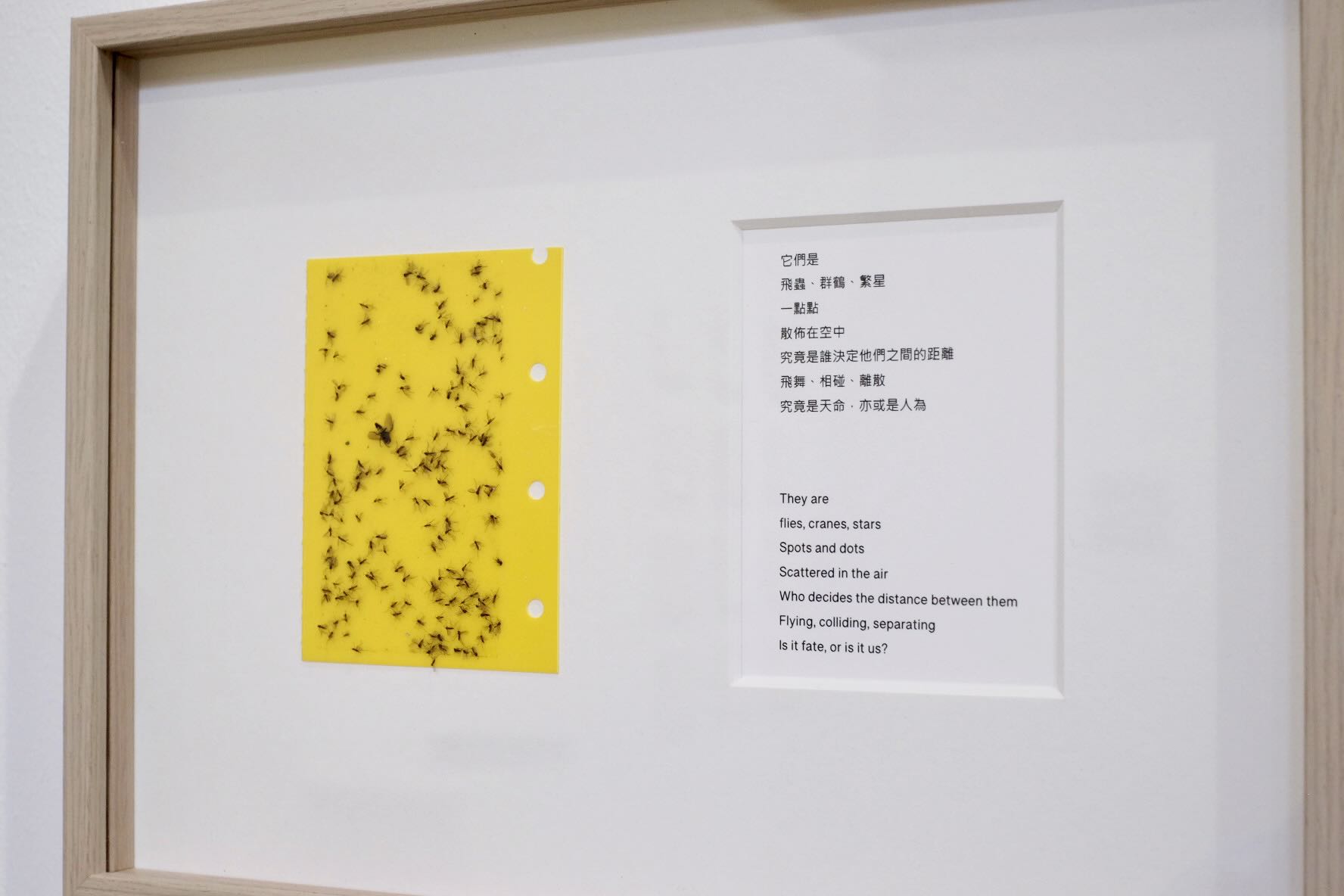 Flies, Cranes, Stars, Mixed media, 20.5 x 28.5cm, 2023