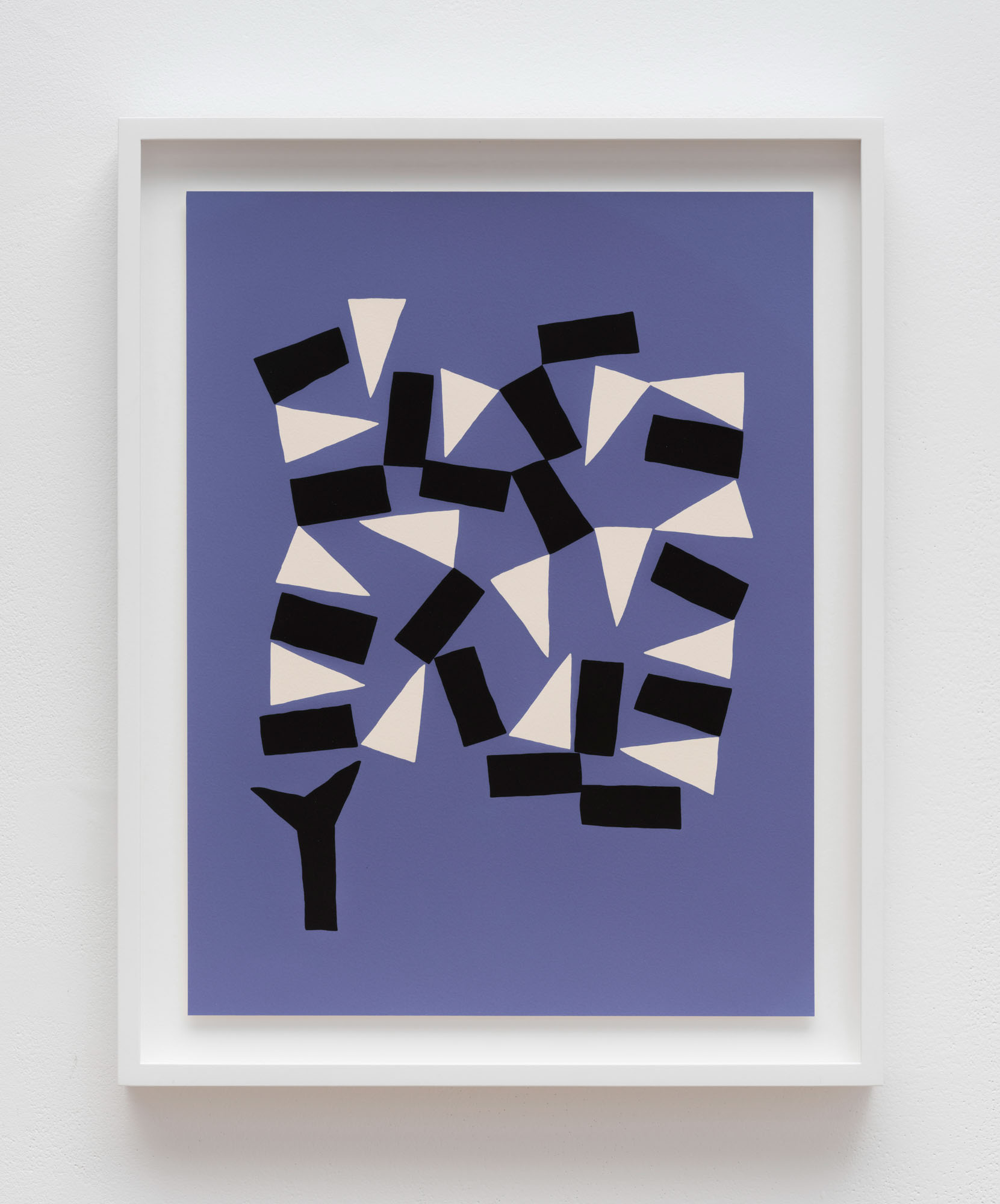 Dream of Snake (Framed) at Tune In - In Tune 2025