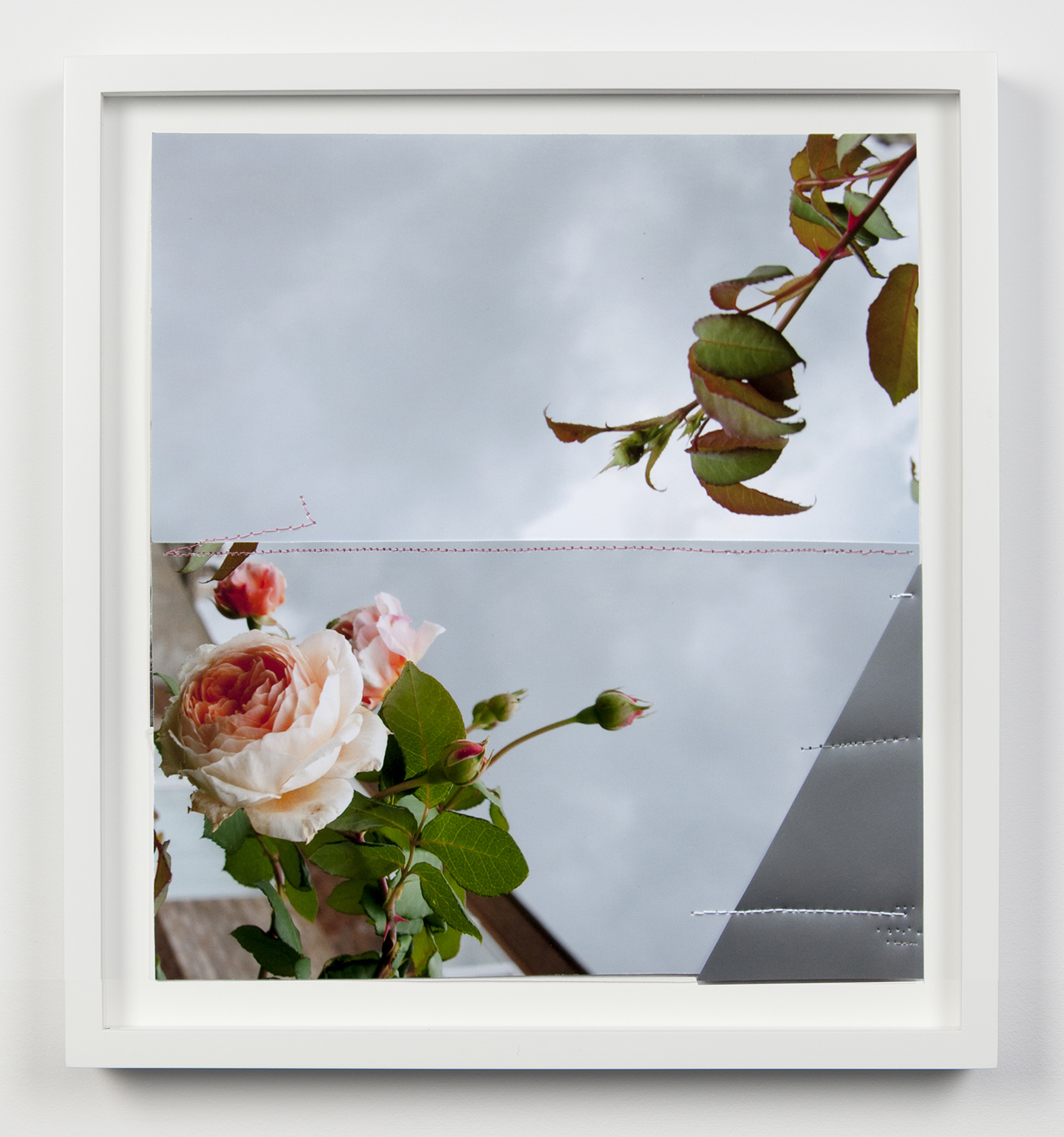 Jude Broughan, Mild, 2017. Archival pigment prints, metallic vinyl, and thread, 10 ¼ x 11 ½ inches