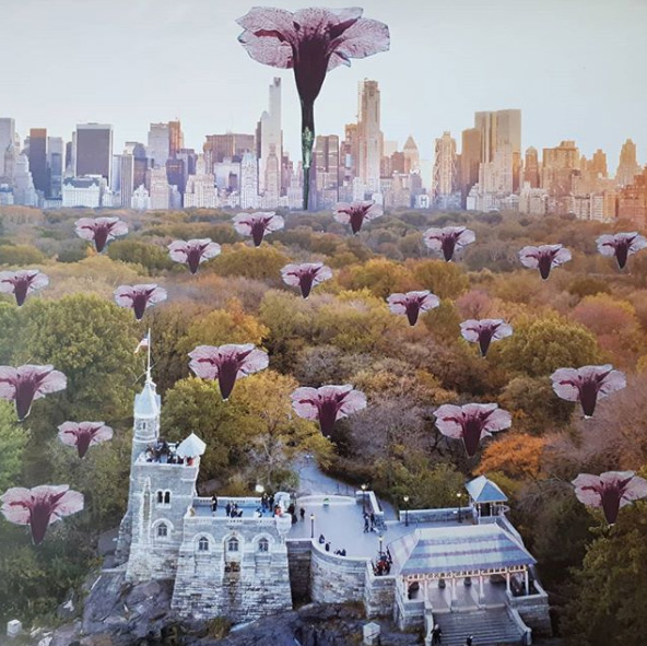 Laďka Daisy Železná