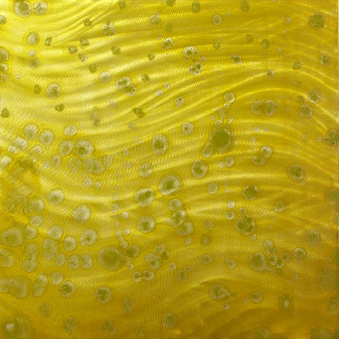 FloatLikeaButterflyStingLikeaBee #21, 2004, oil on aluminum, 32"x32