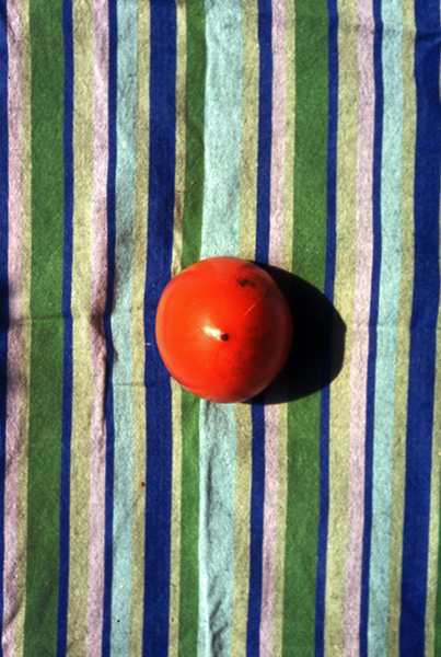 la brasile&ntilde;a, pigment print, 29x23cm