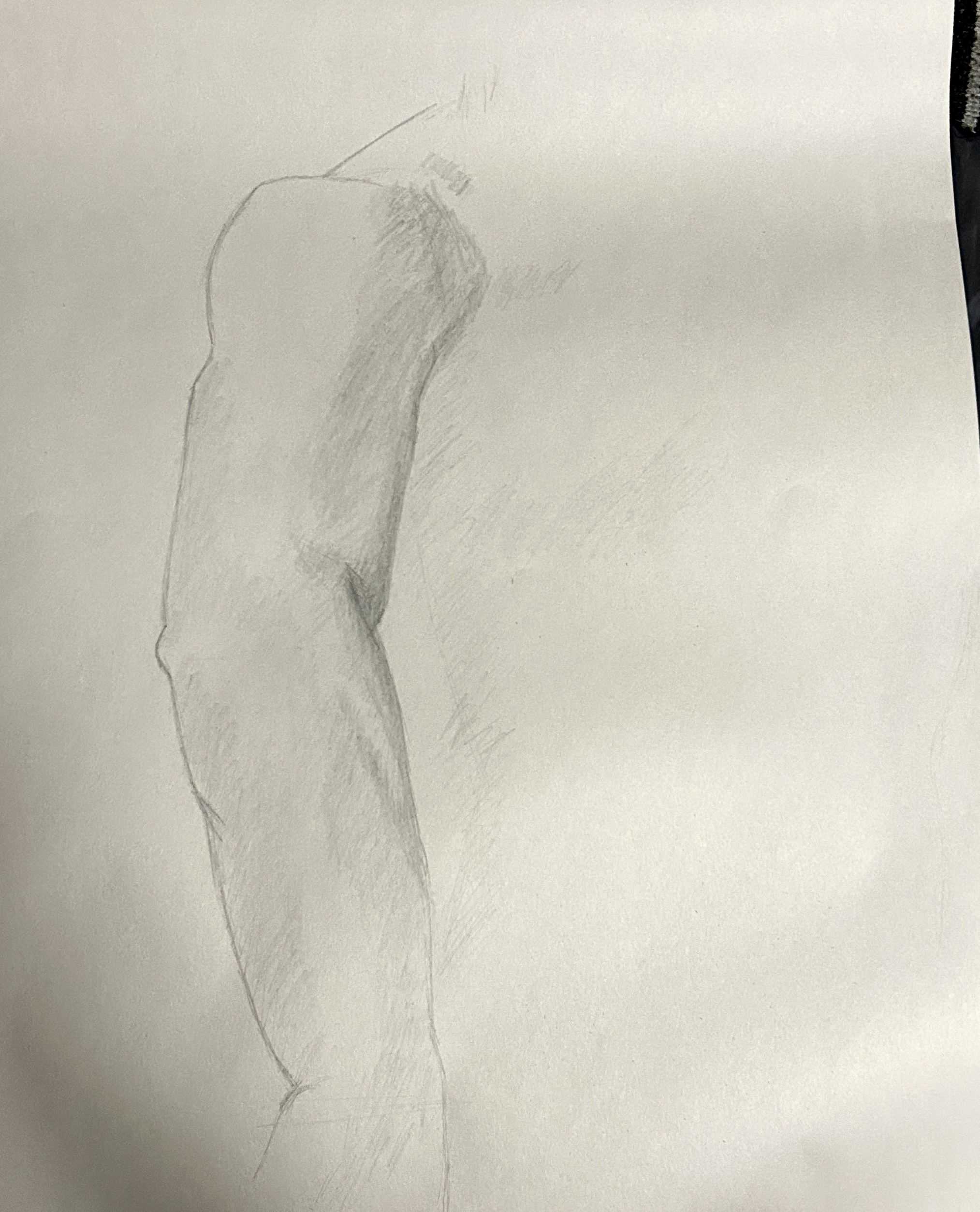 form study, graphite on paper, 2023