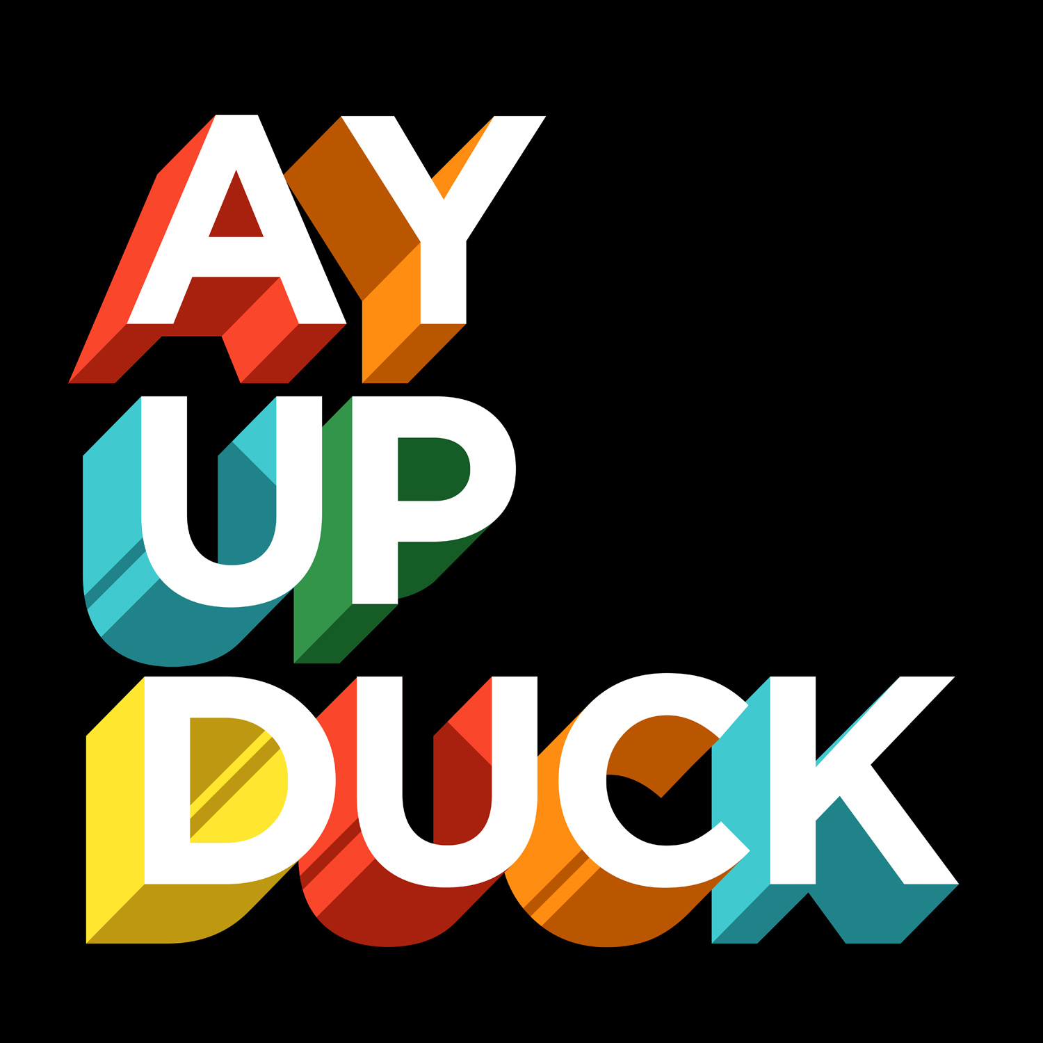 Ay Up Duck - 2016