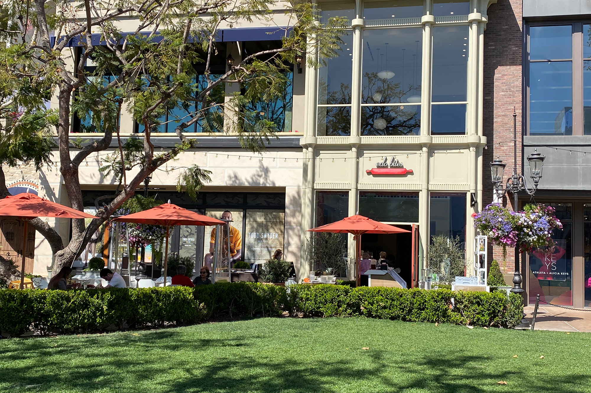 THE GROVE