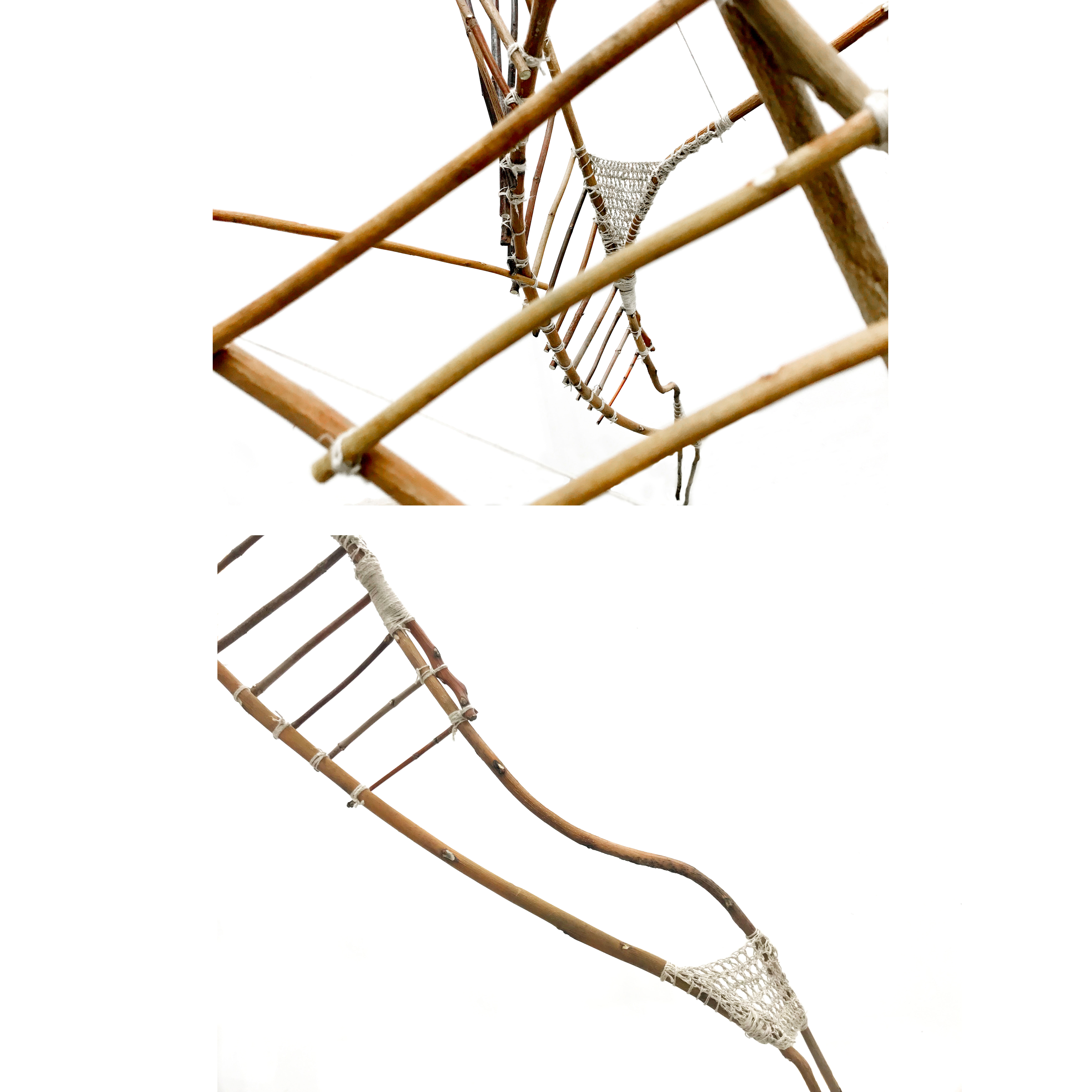 2021/Nature and Culture/Branch-Rope