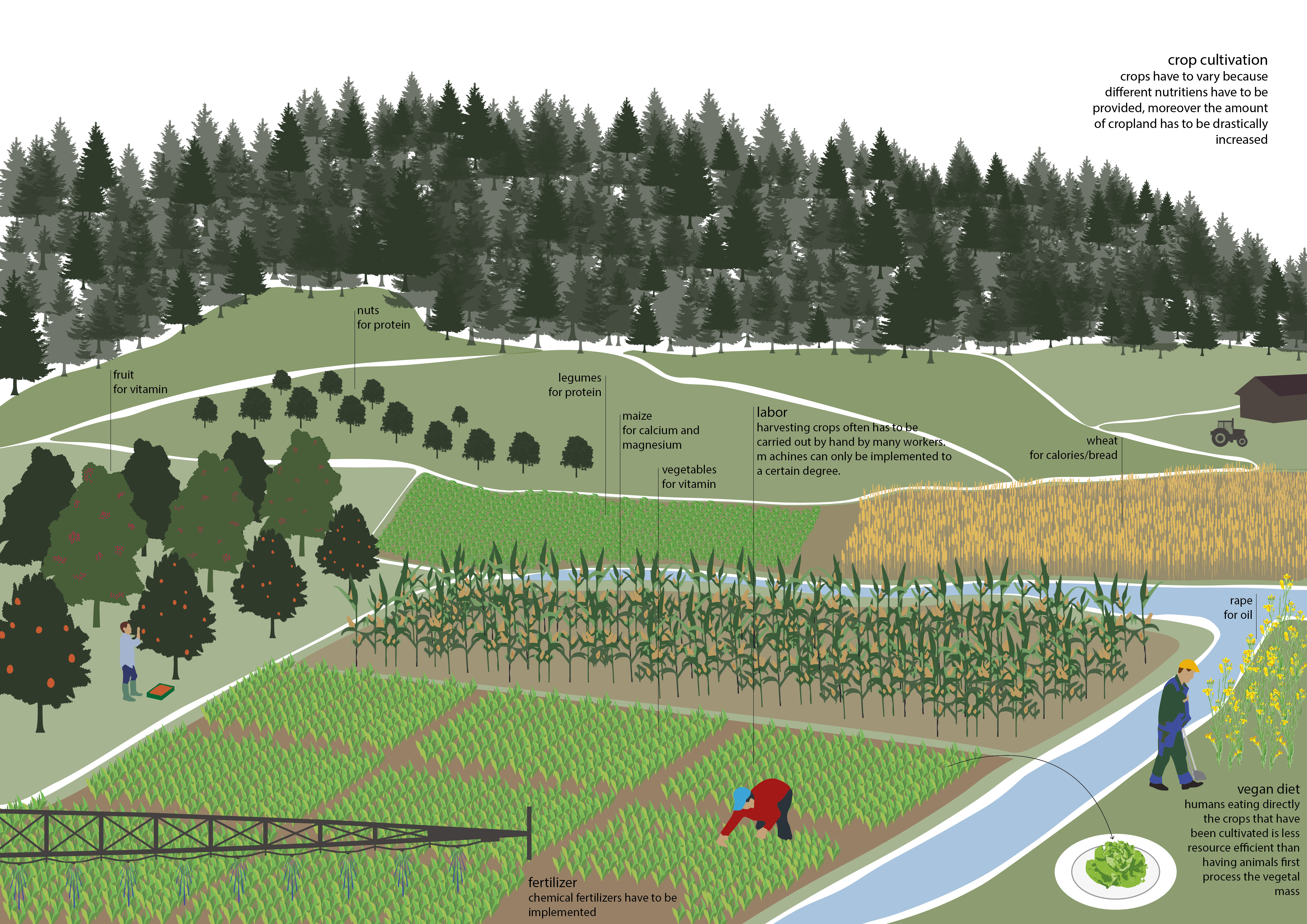 After: reusing arable lands in order to feed the Swiss population and consequences for the landscape.