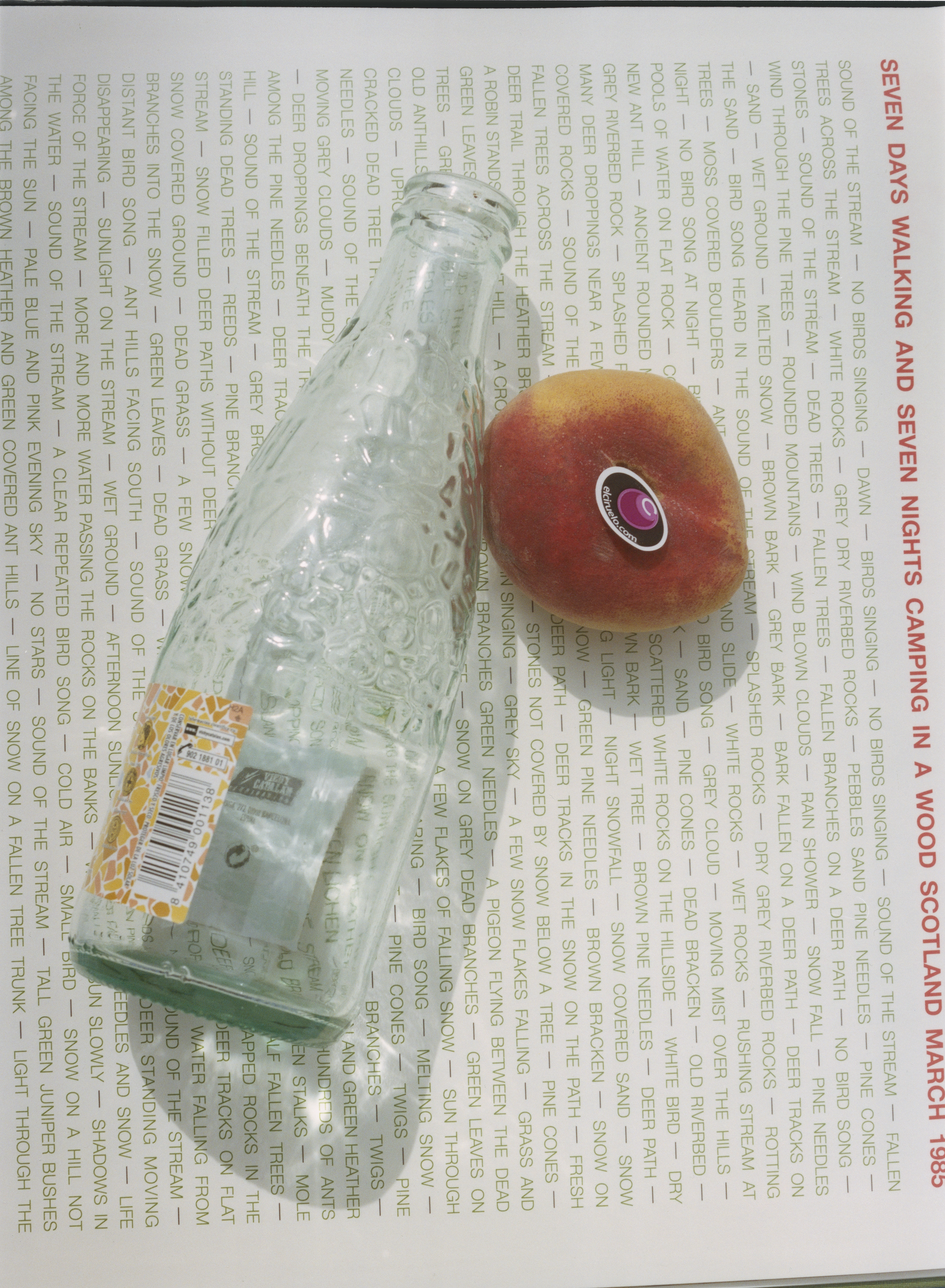 Snow Covered Sand, 2021. (7/75)