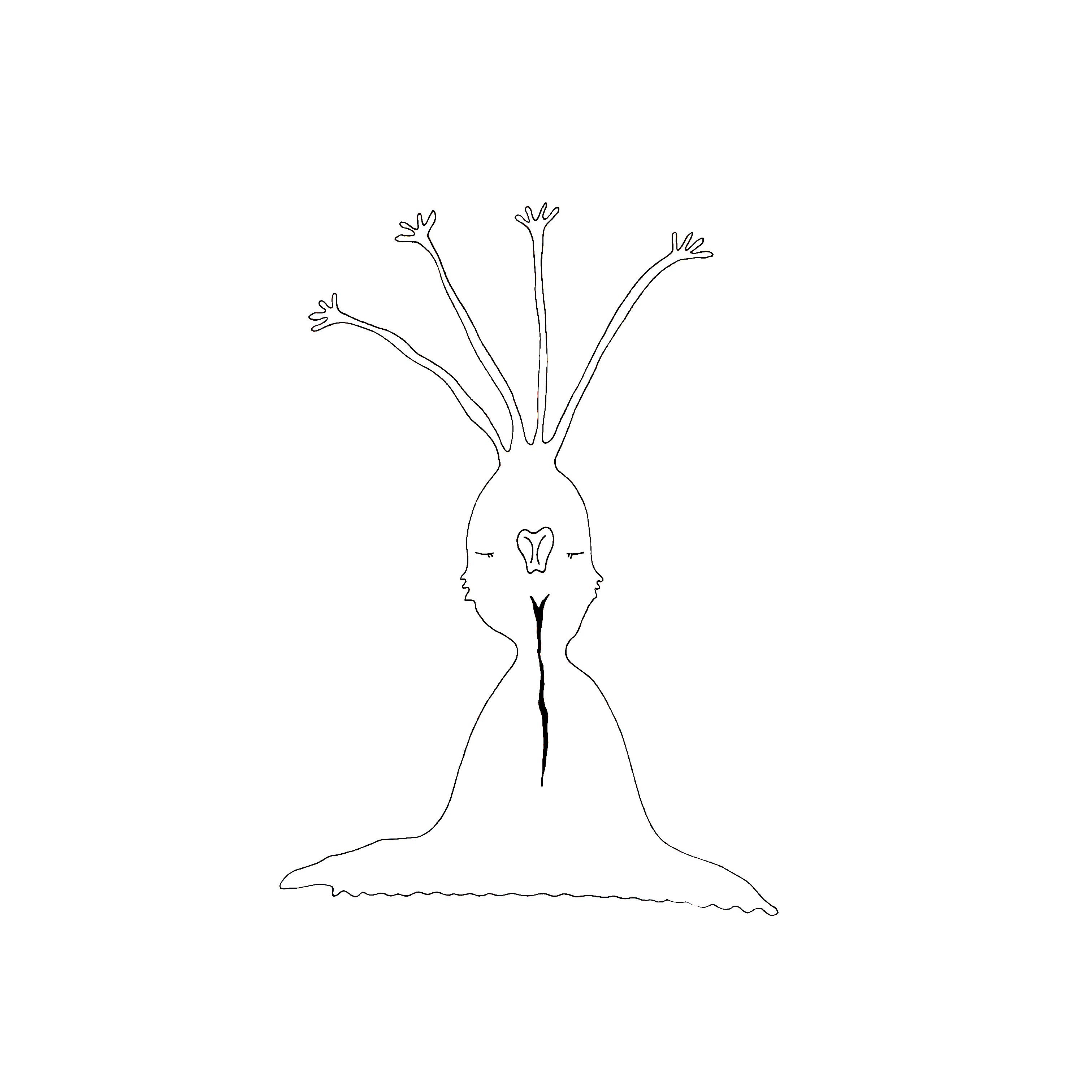 Two Sides of One Coin ✨