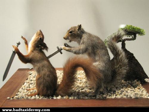 taxidermy scene of two squirrels