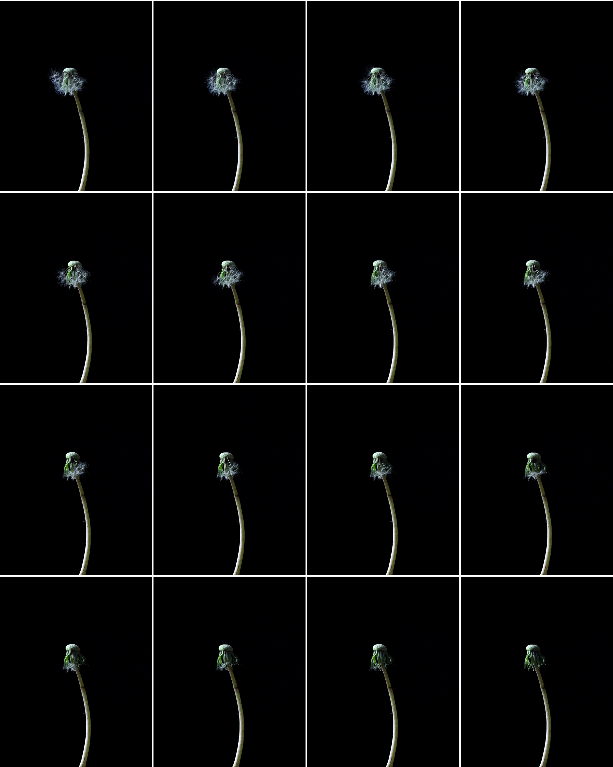 Change #145-160, 2022