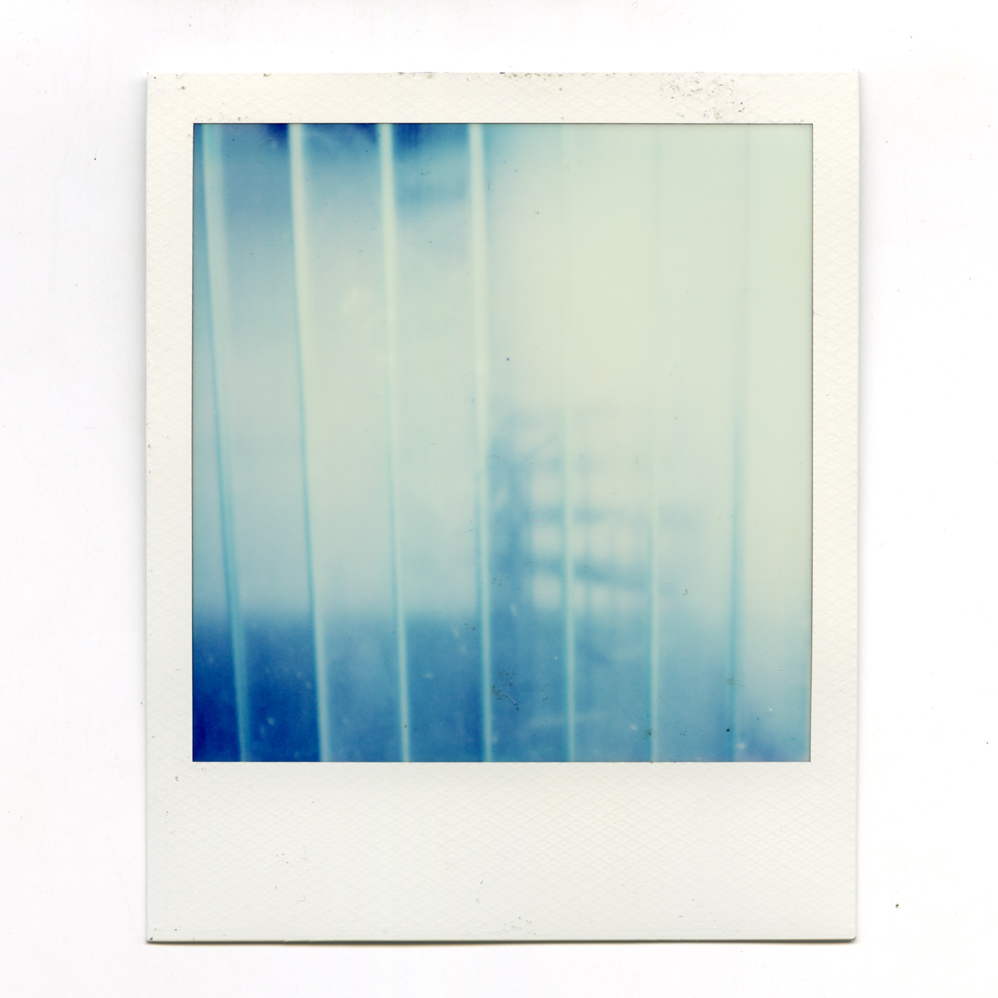 Untitled Polaroid, 2024
