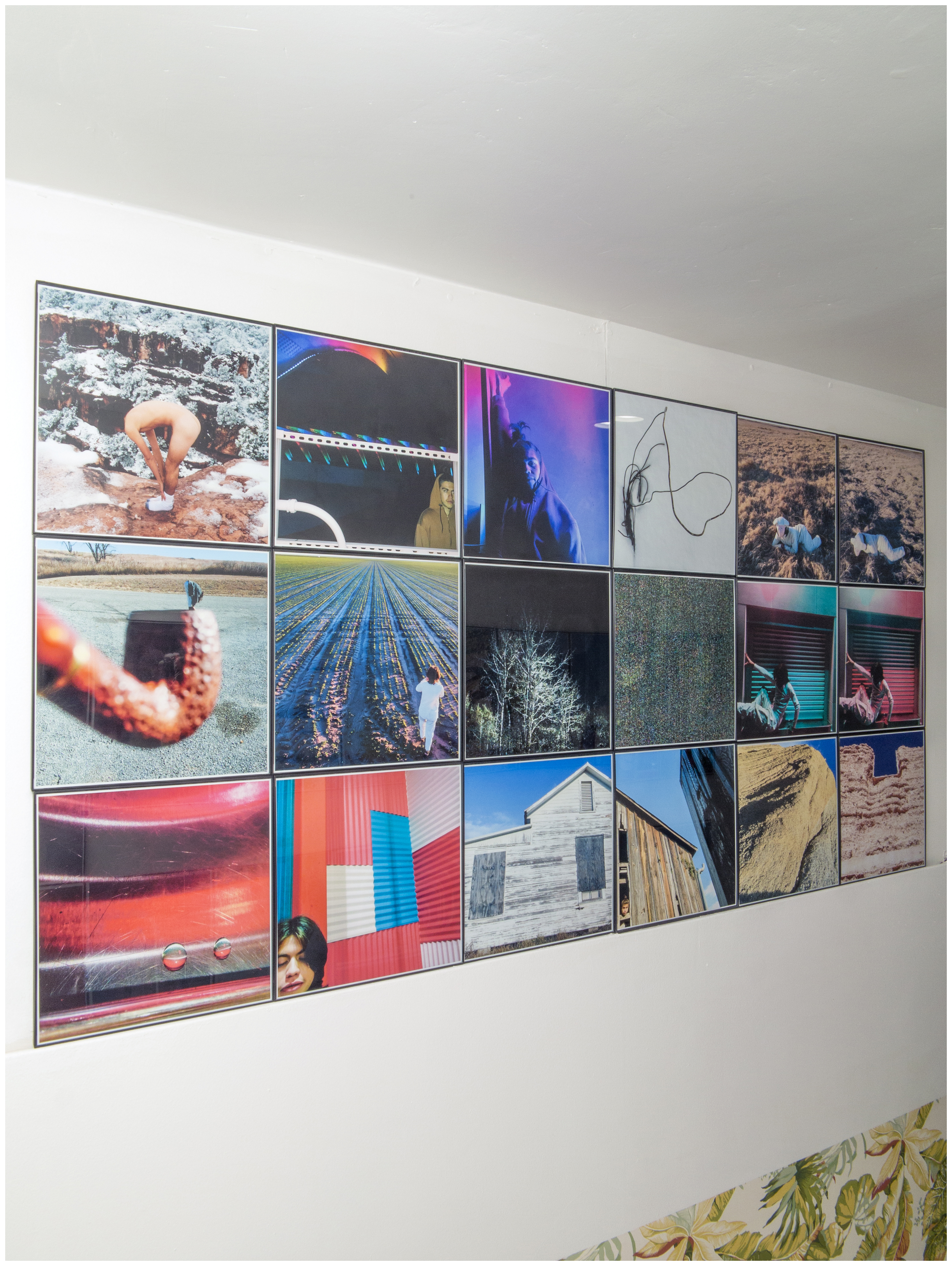 Paragon of Virtue (installation view), 2016Luster inkjet paper, glass, plastic frames72.938 x 36.469 x .625 in.185.26 x 92.63 x 1.59 cm