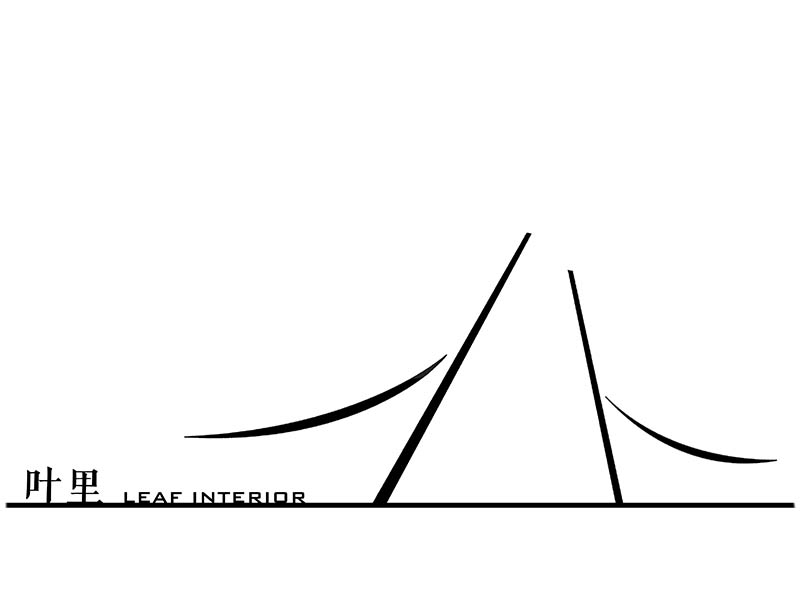叶里·叶理三年级